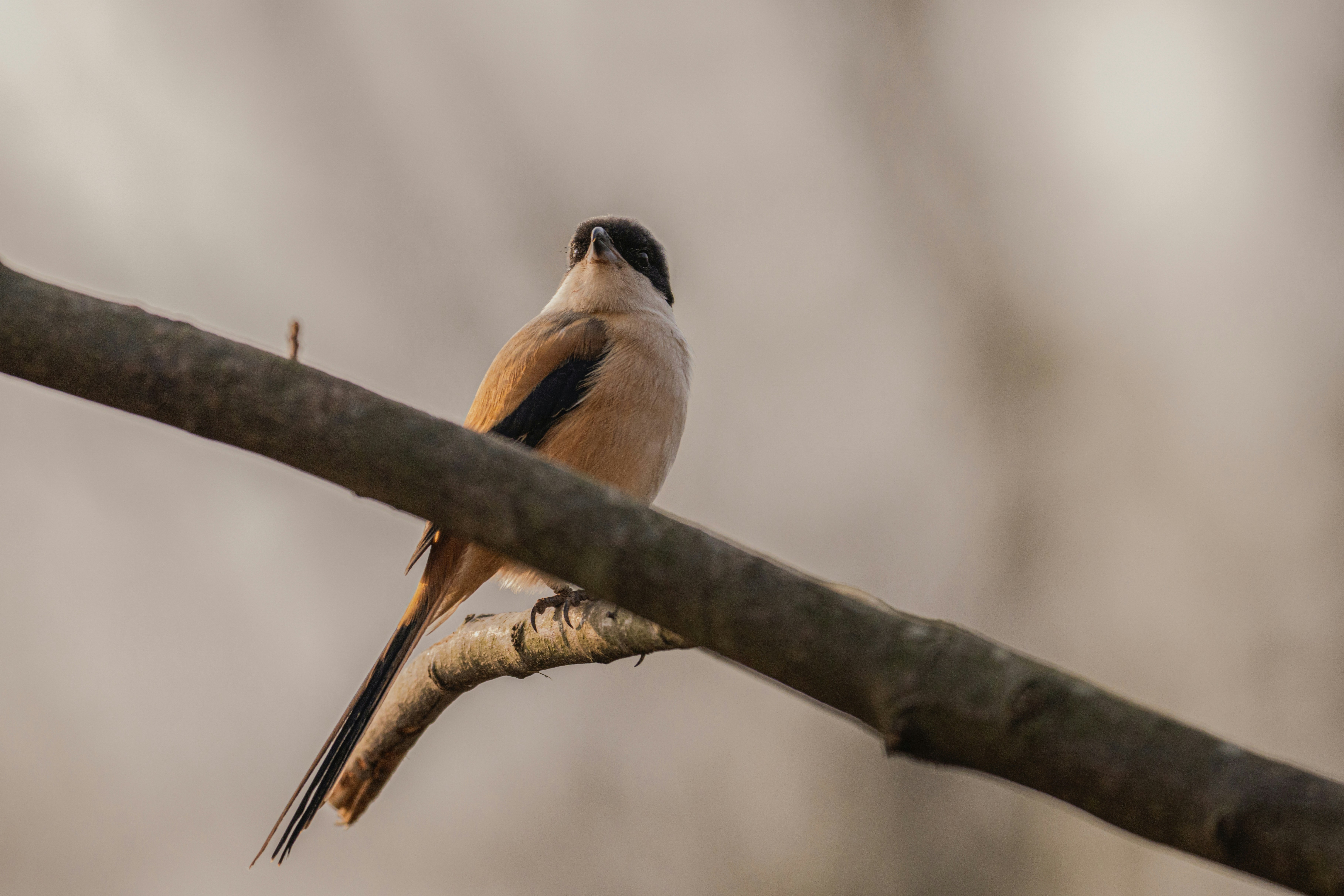 Photo by briadorothy