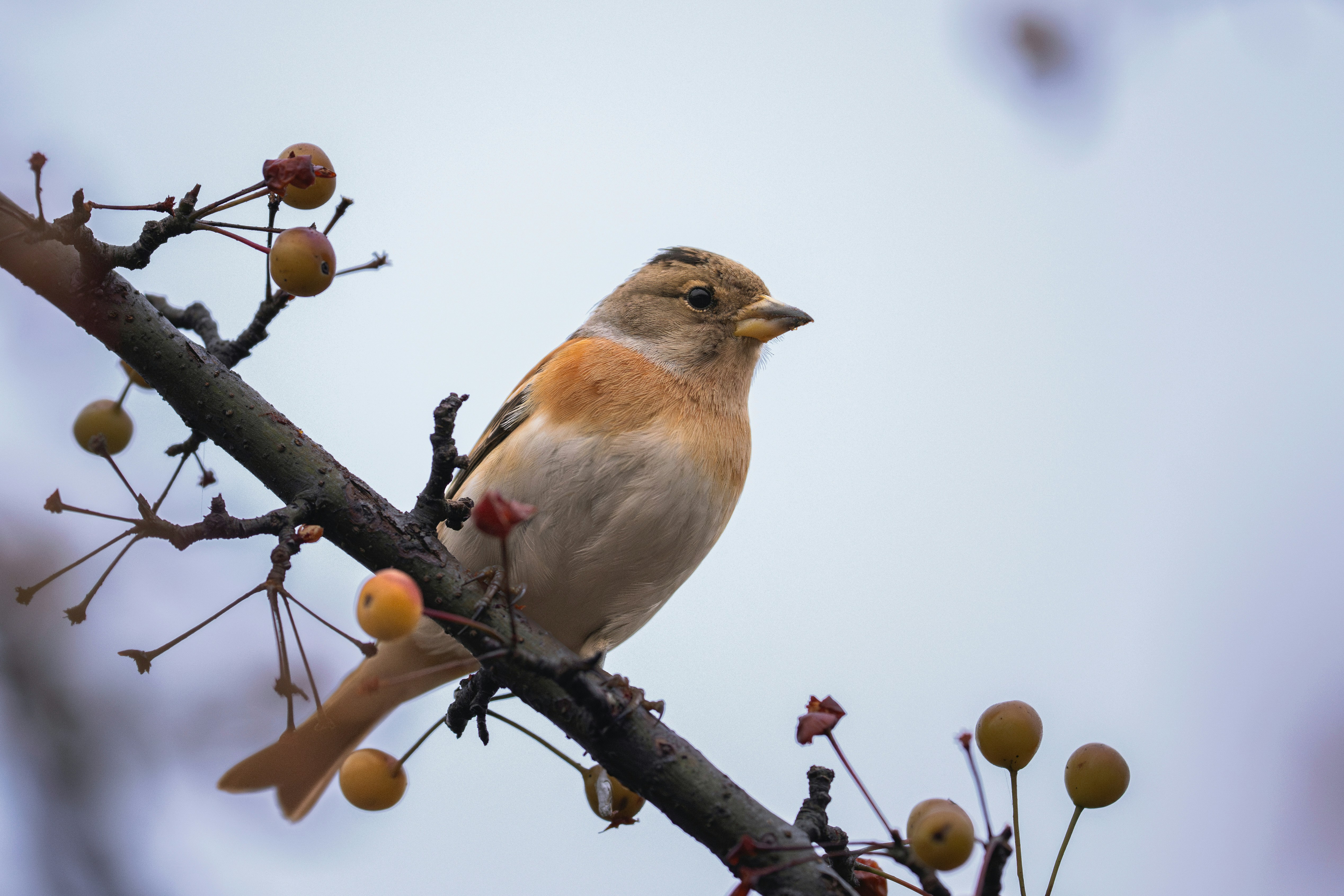 Photo by briadorothy