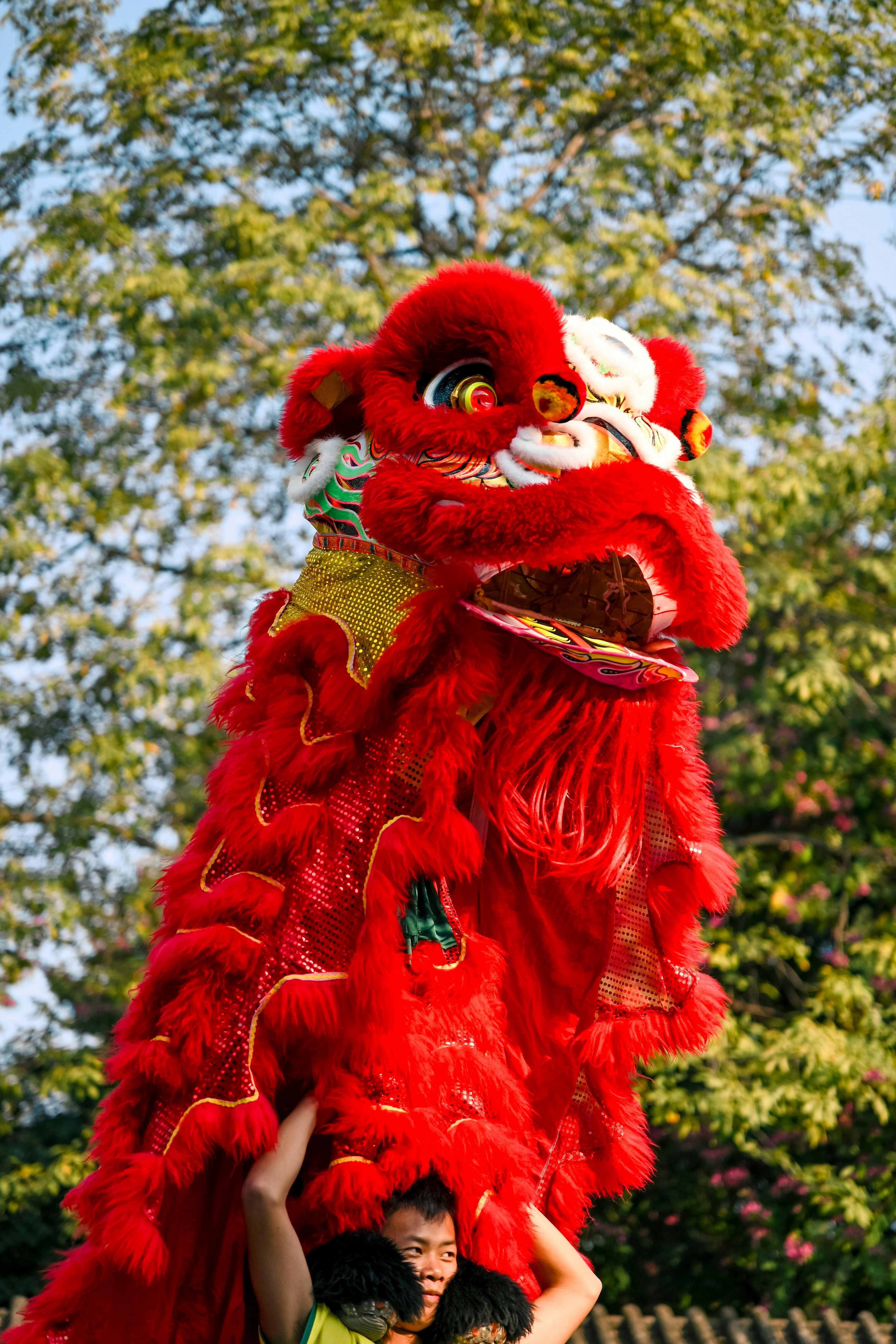 Photo by raidayzhang