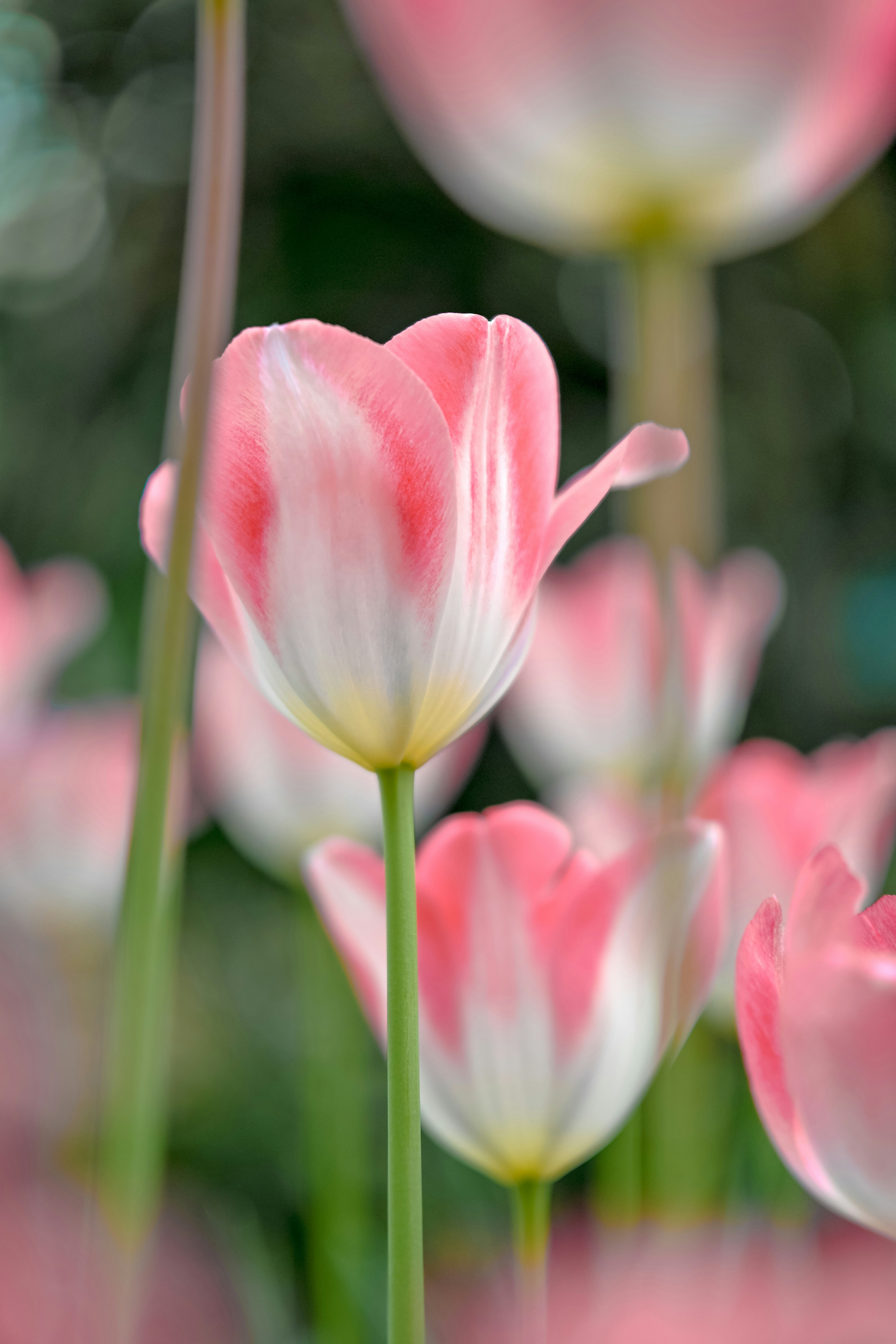 Photo by raidayzhang