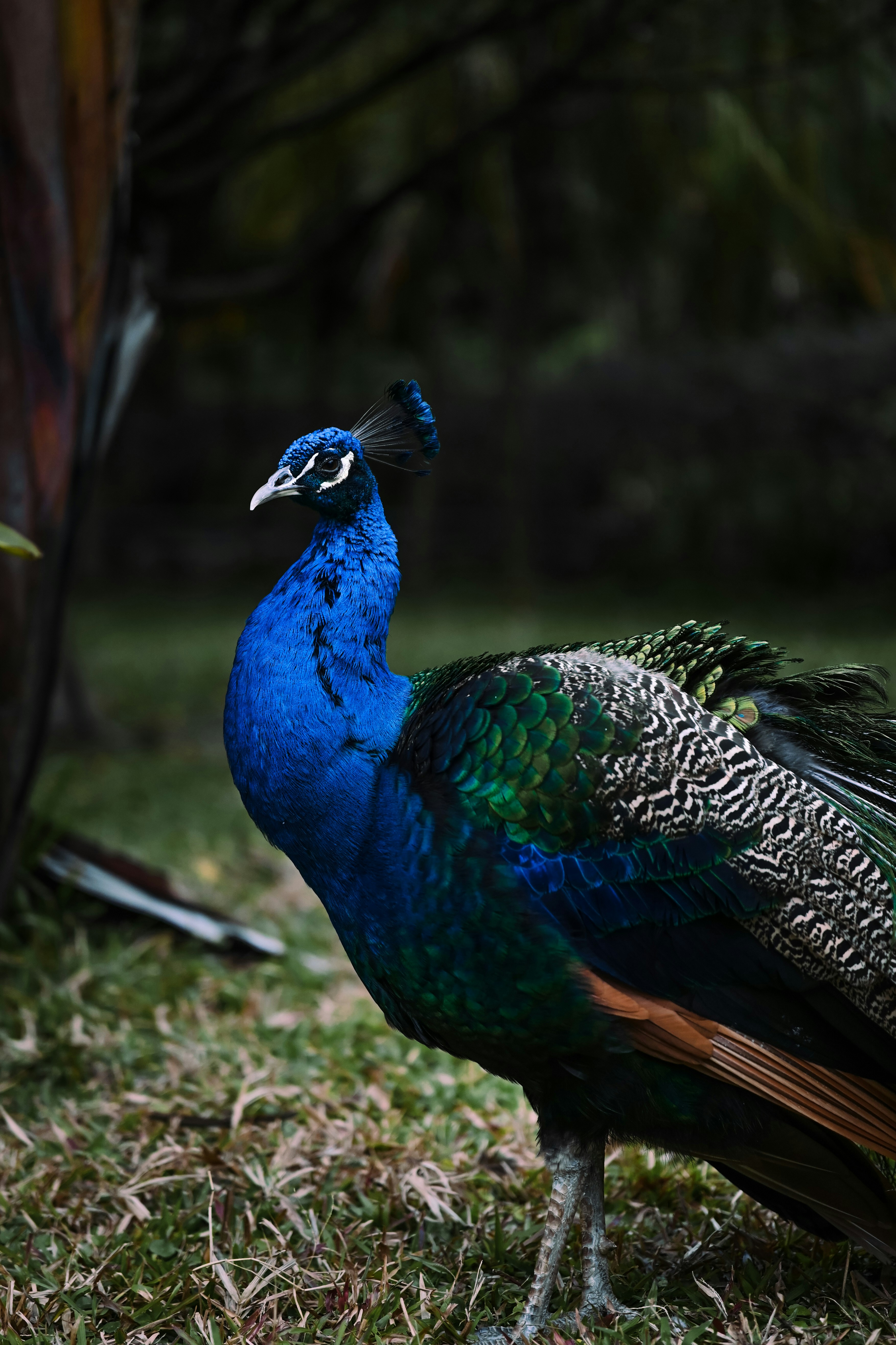 Photo by raidayzhang