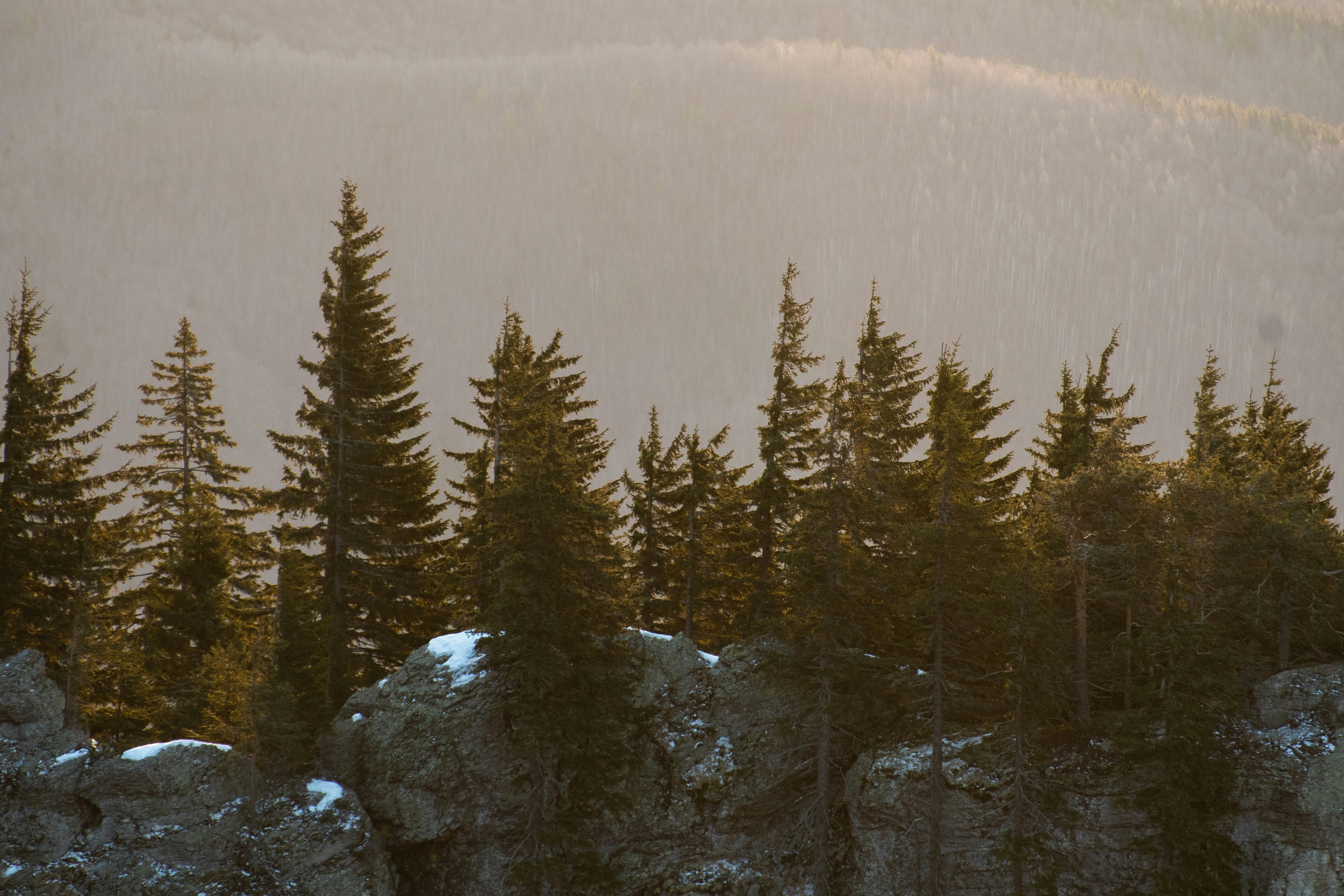 Photo by adialbulescu