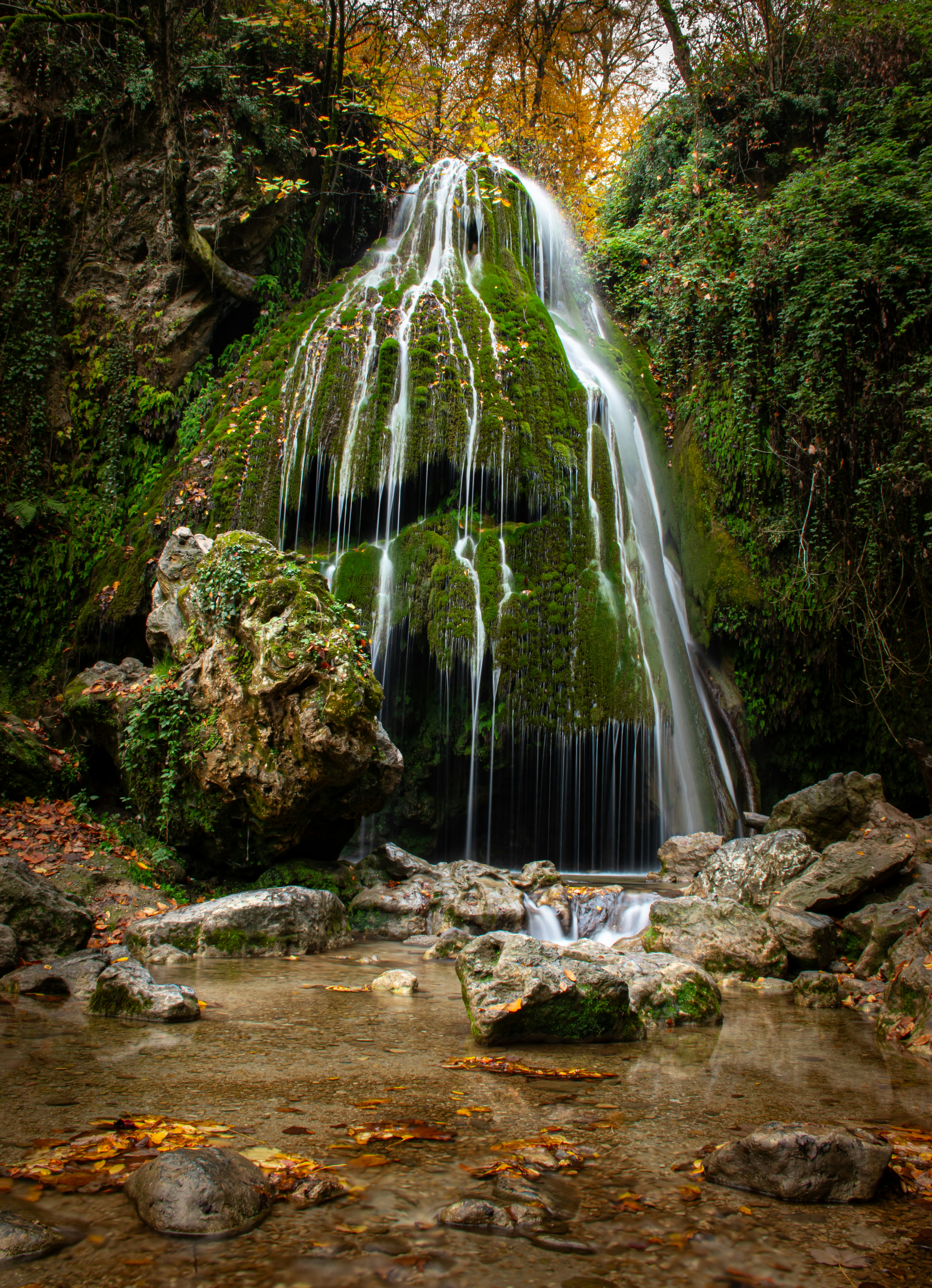 Photo by nimaghazaei