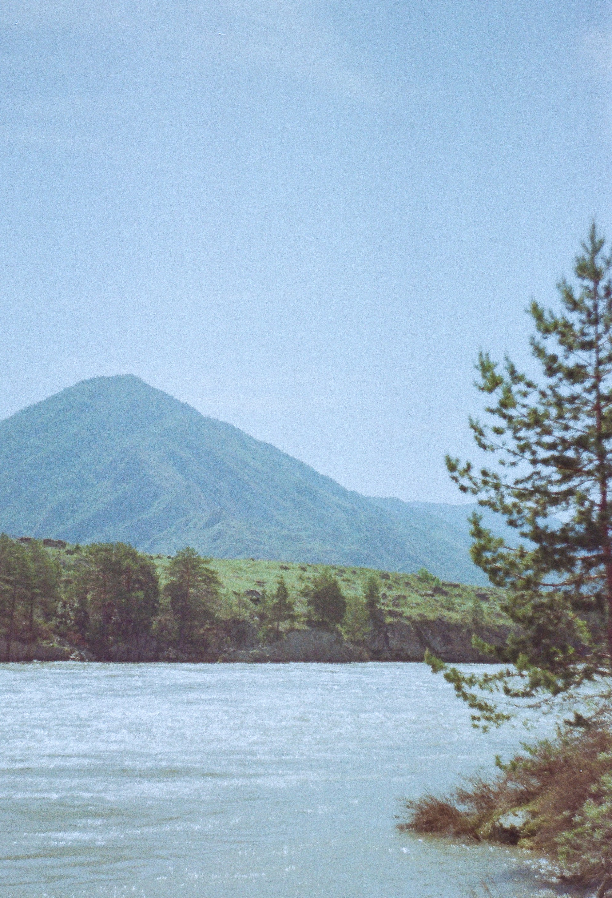Mountain landscape with river and pine tree