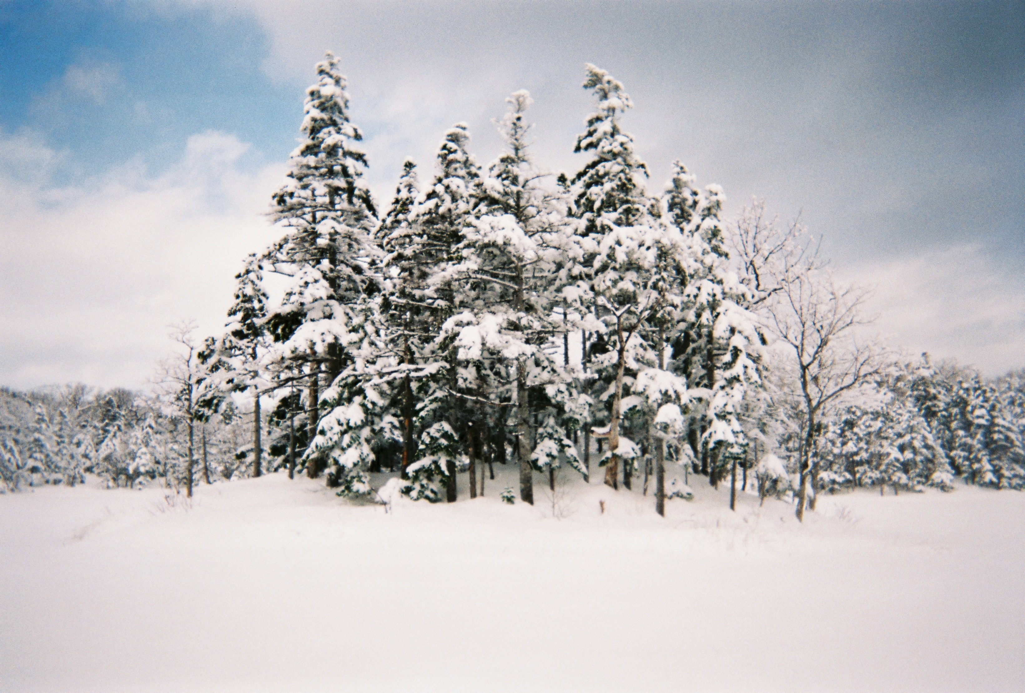 Photo by lucaswhite111