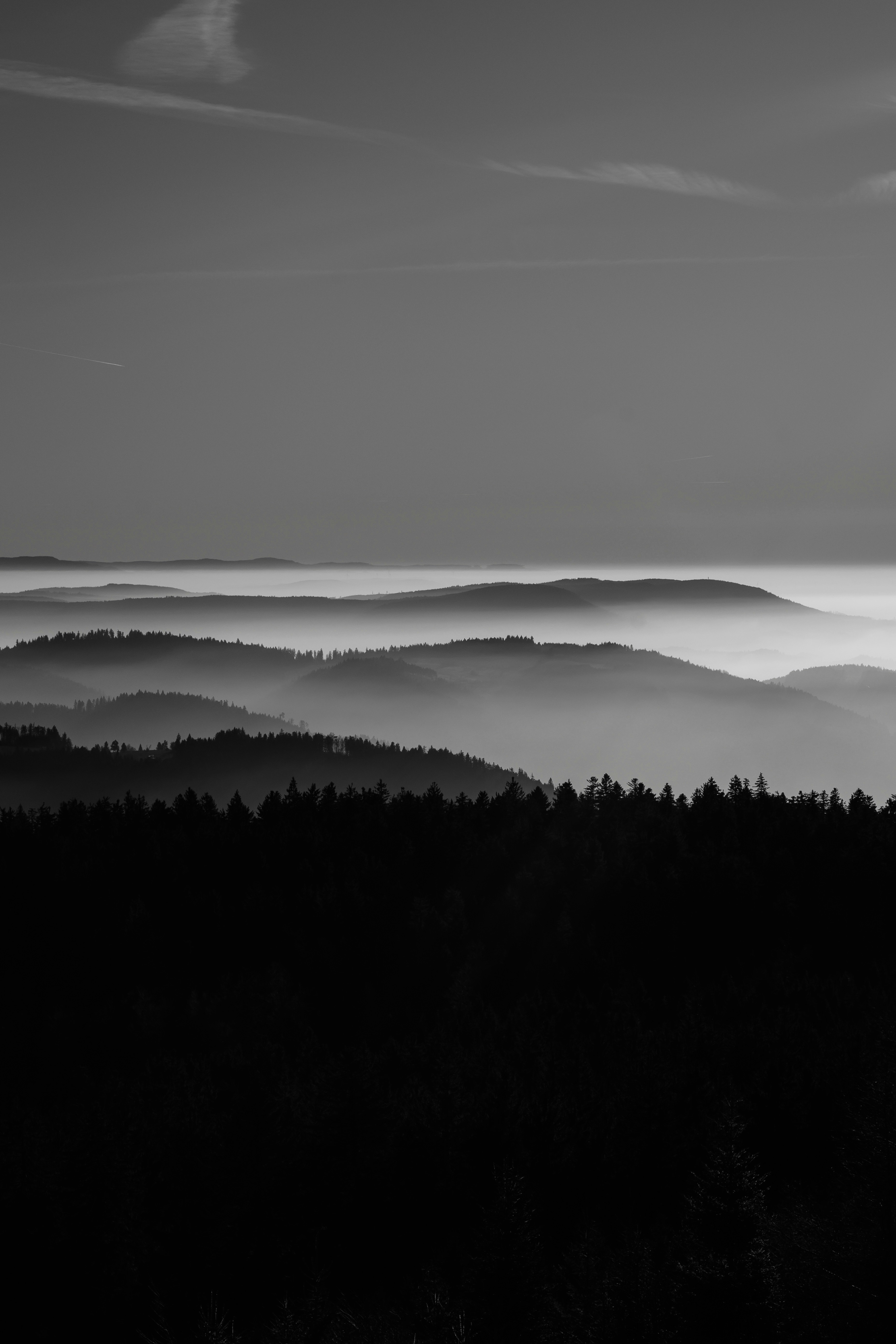 Photo by esmirbilali