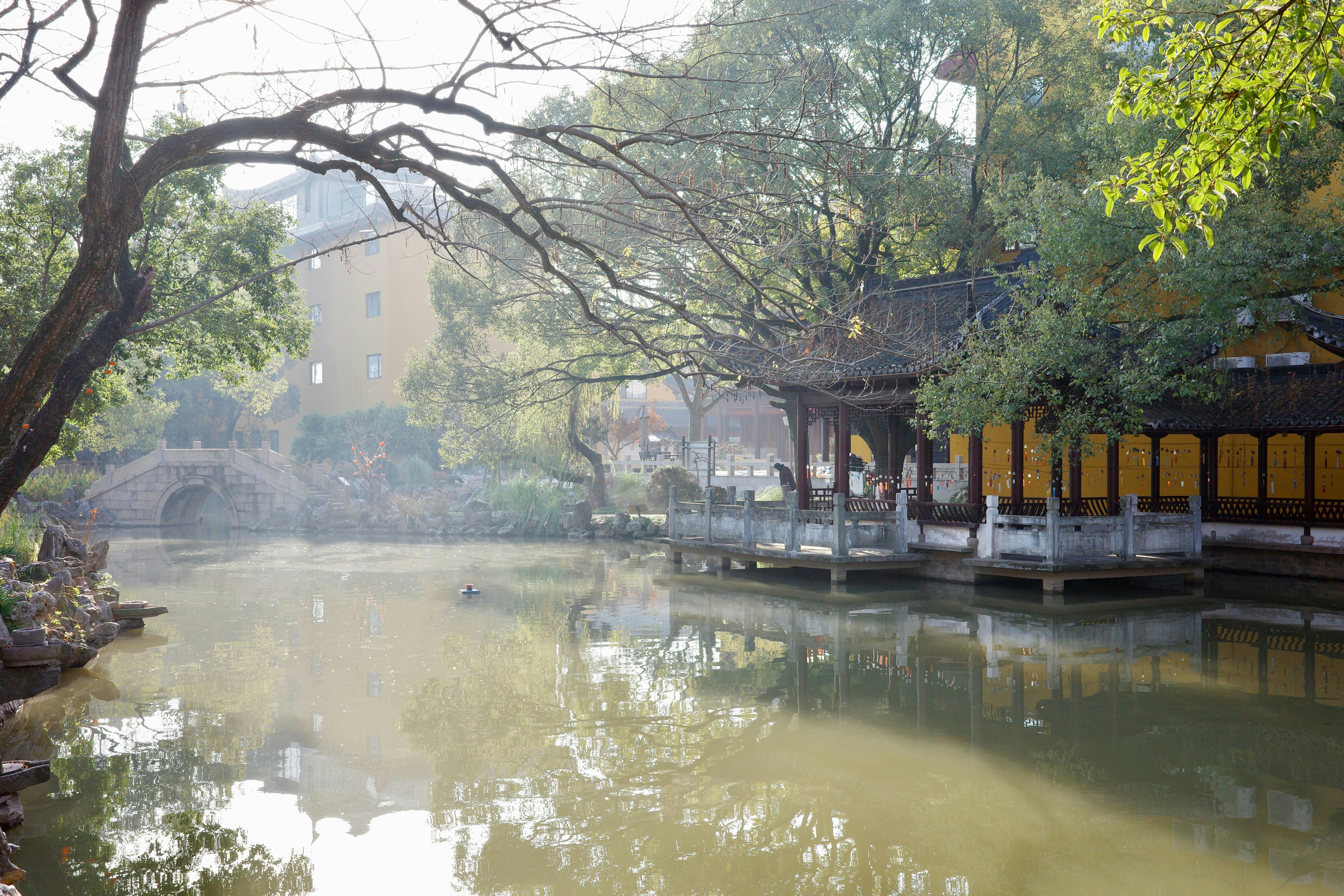 Photo by andyzhang1989