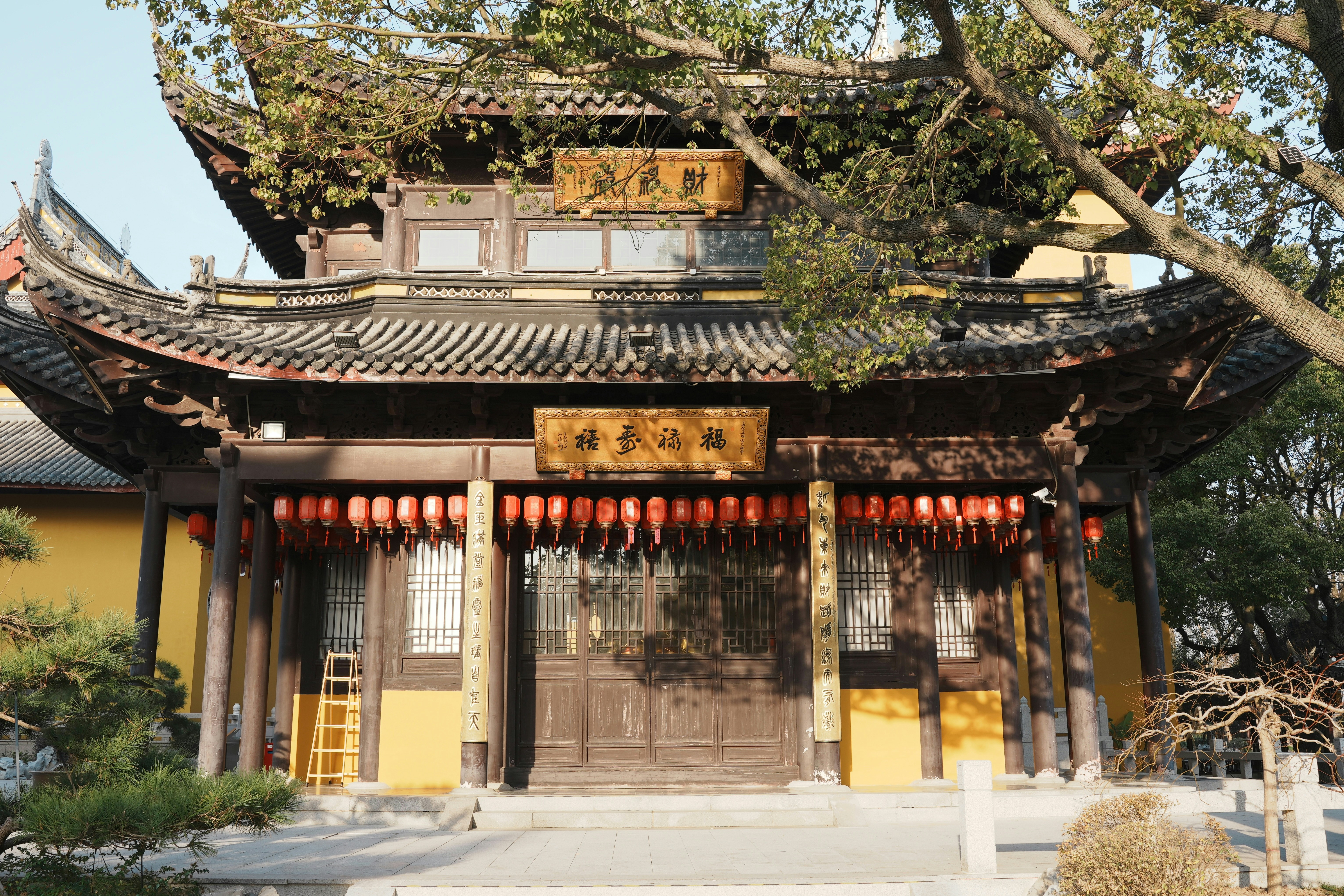 Photo by andyzhang1989