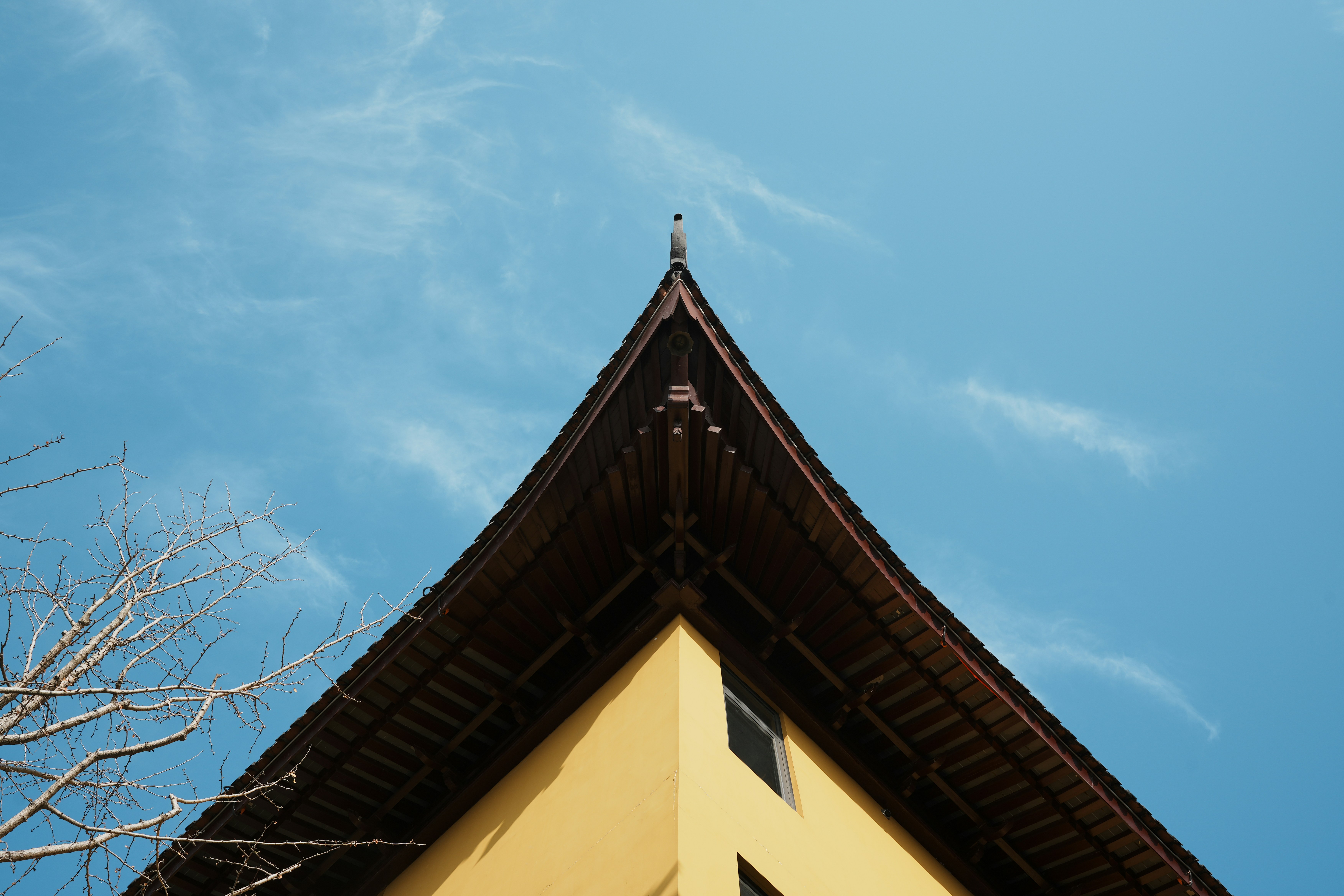 Photo by andyzhang1989