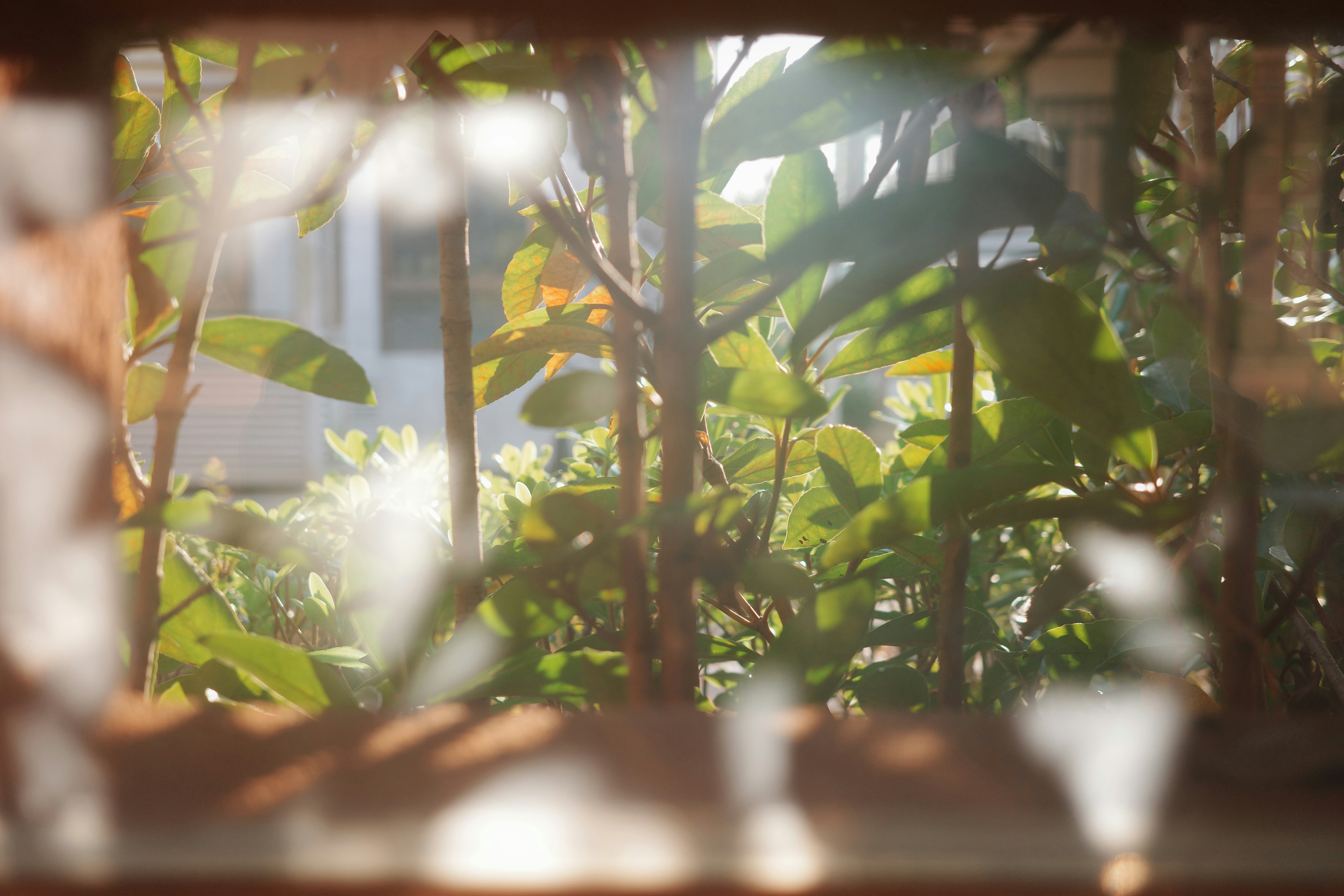 Photo by andyzhang1989