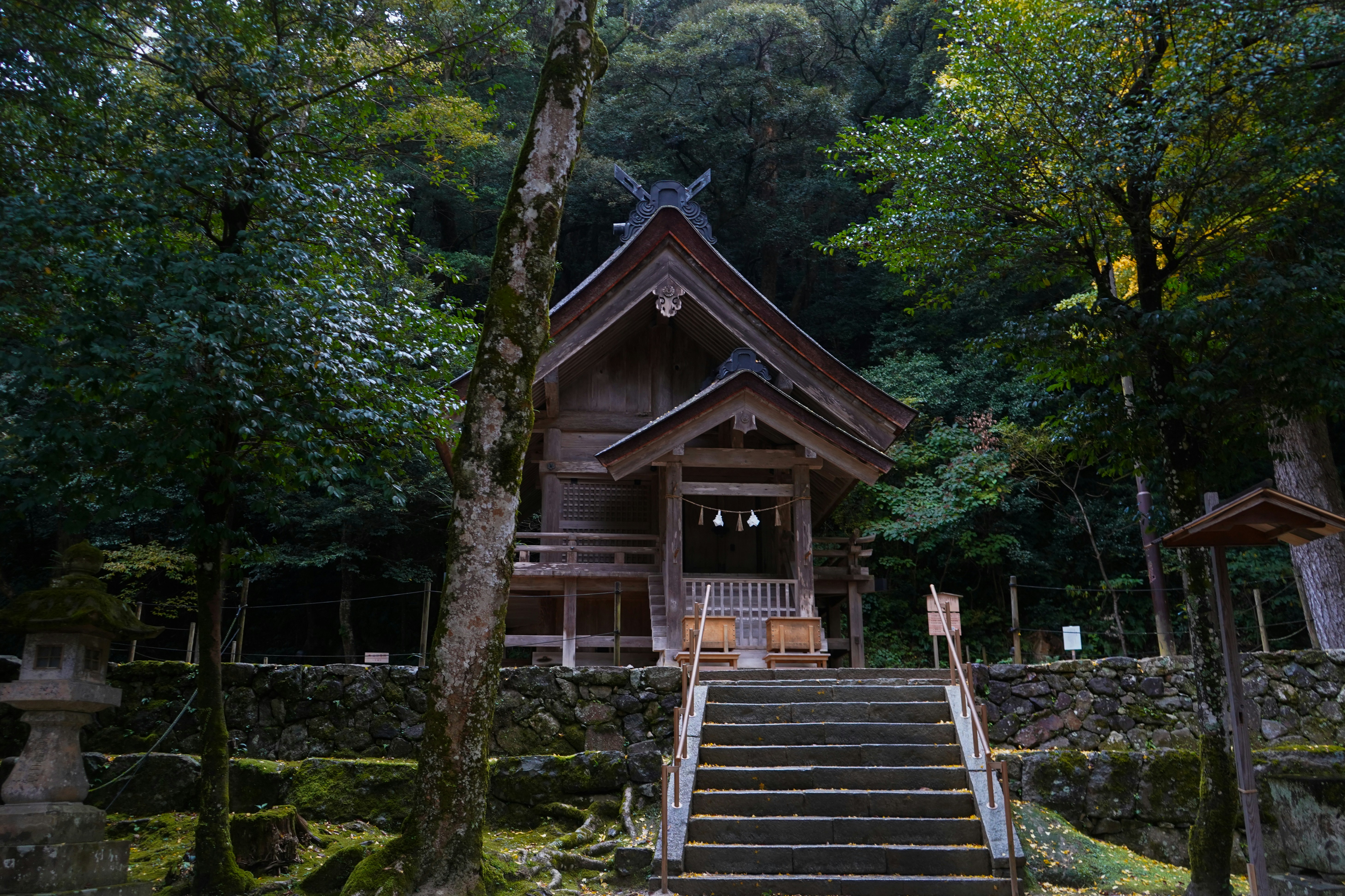 Wooden shrine building surrounded by lush green trees.