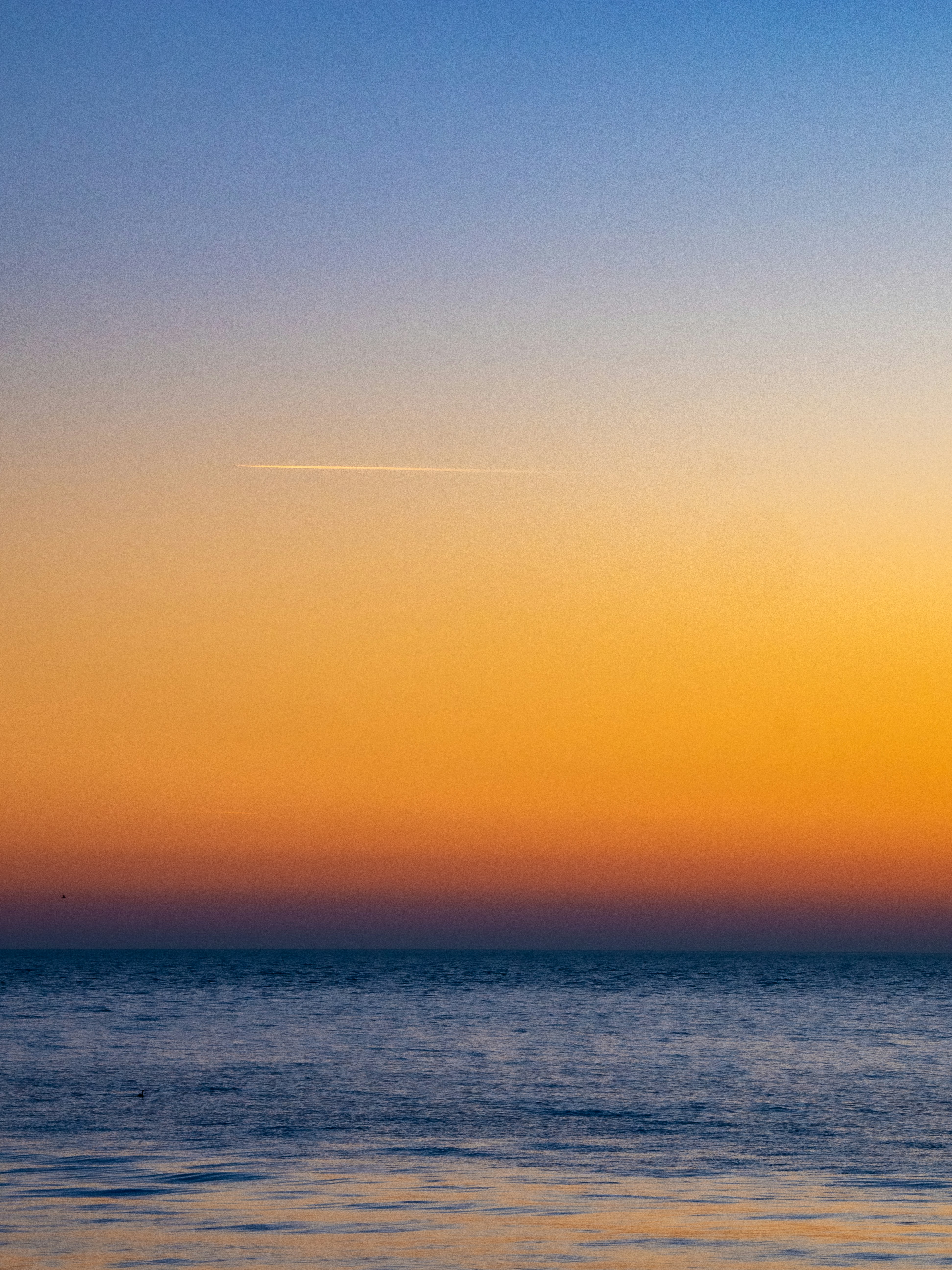 Photo by gopitri_prem