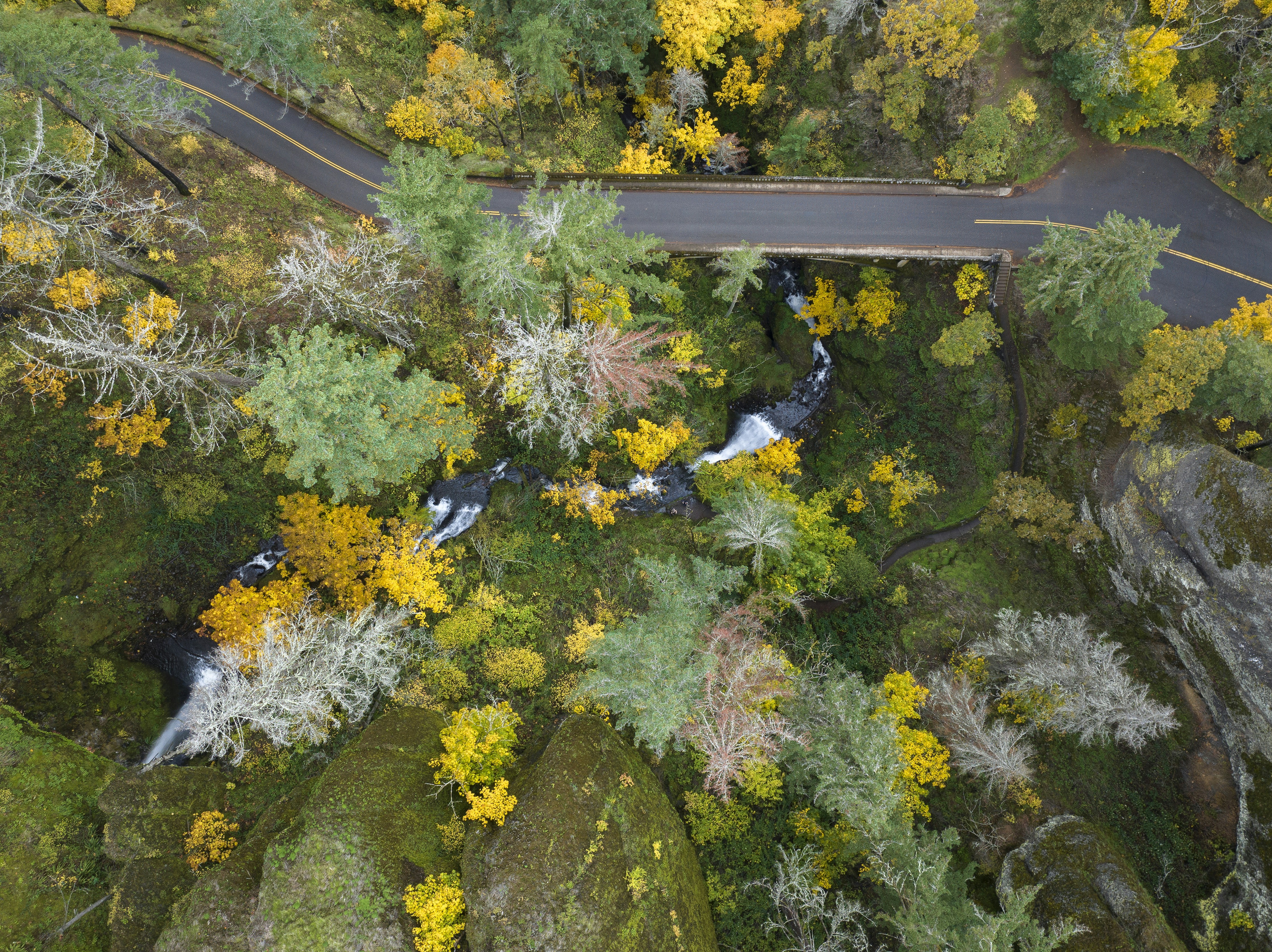 Aerial view of a road and stream in autumn forest