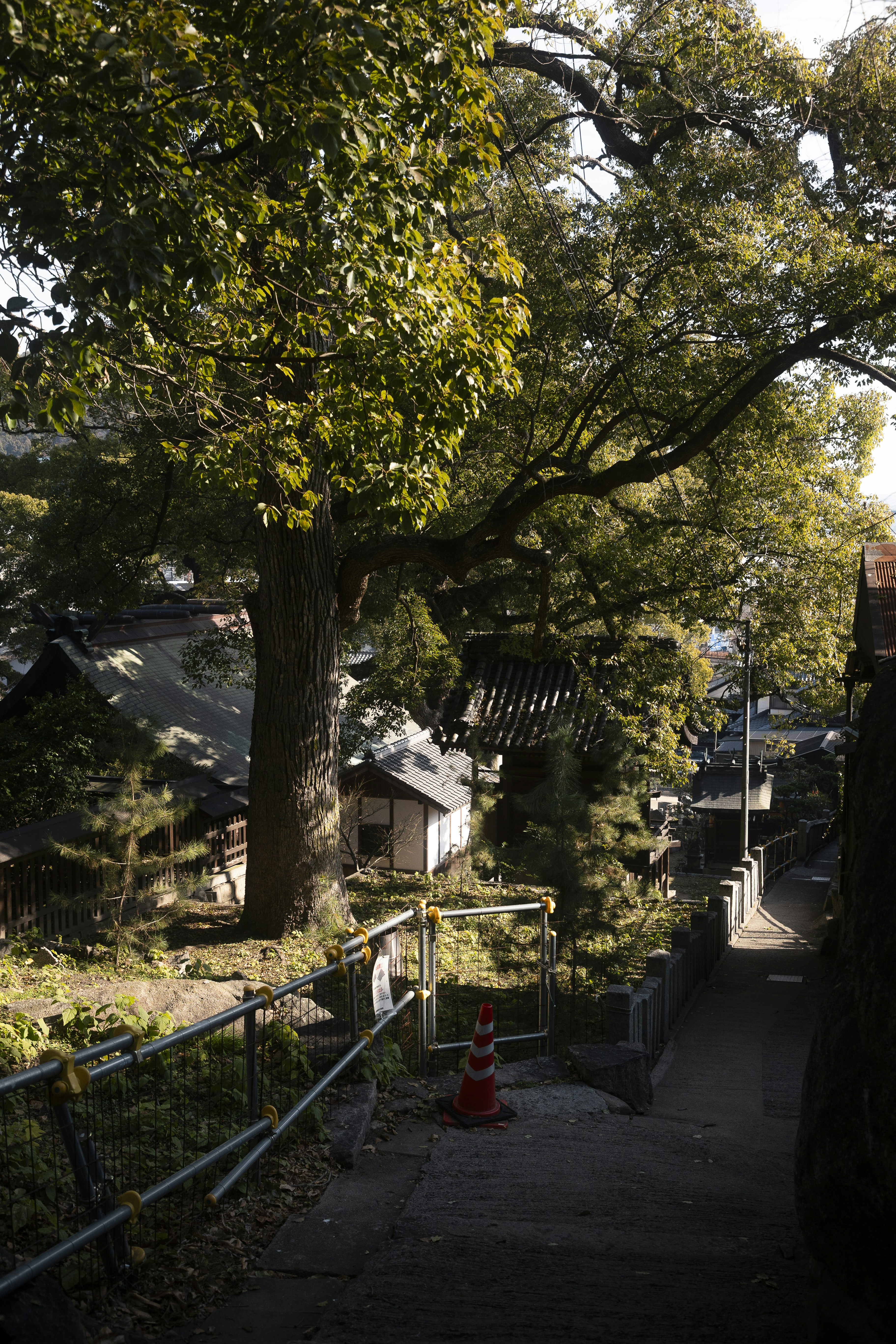 Photo by gakusuyama