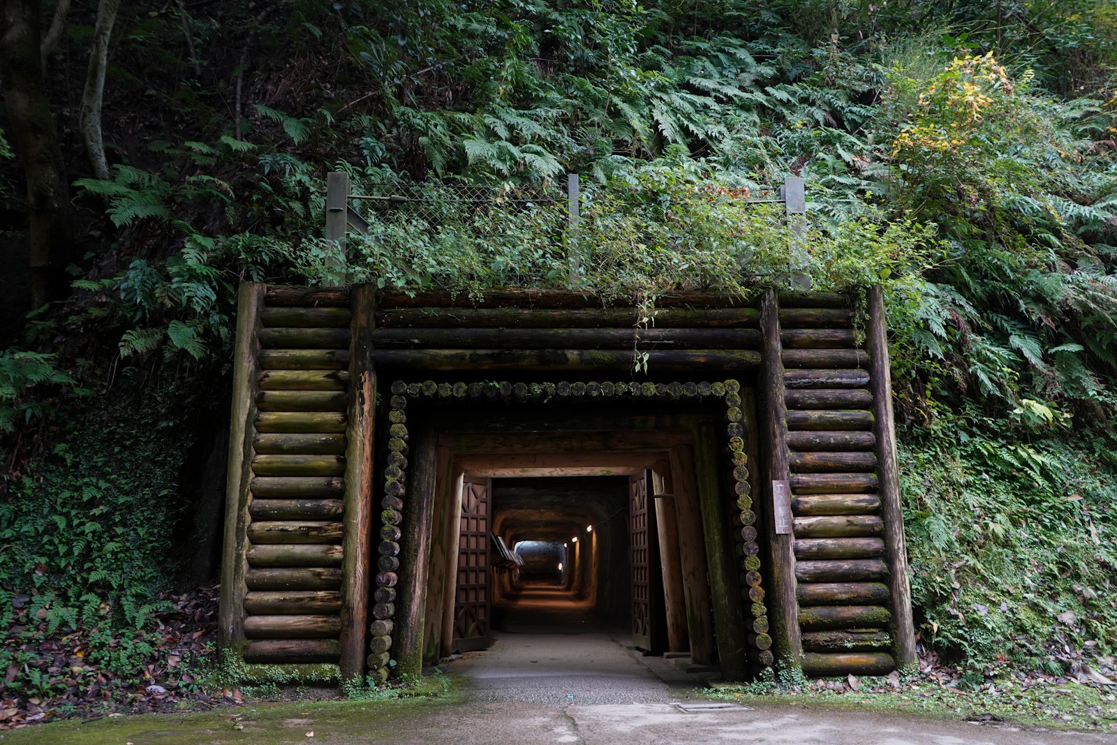 Entrada oscura de un túnel de mina