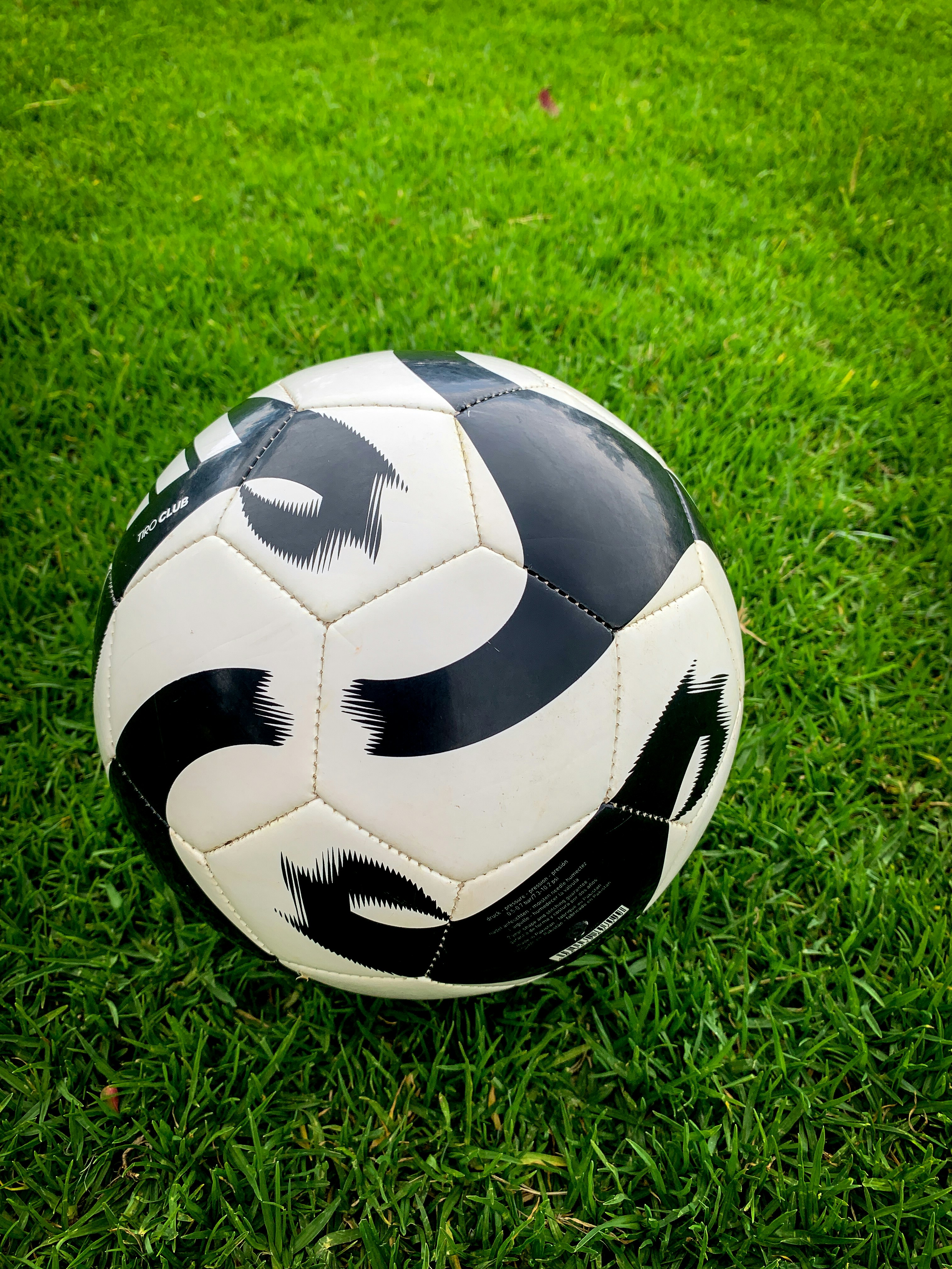 Un balón de fútbol blanco y negro sobre césped verde.