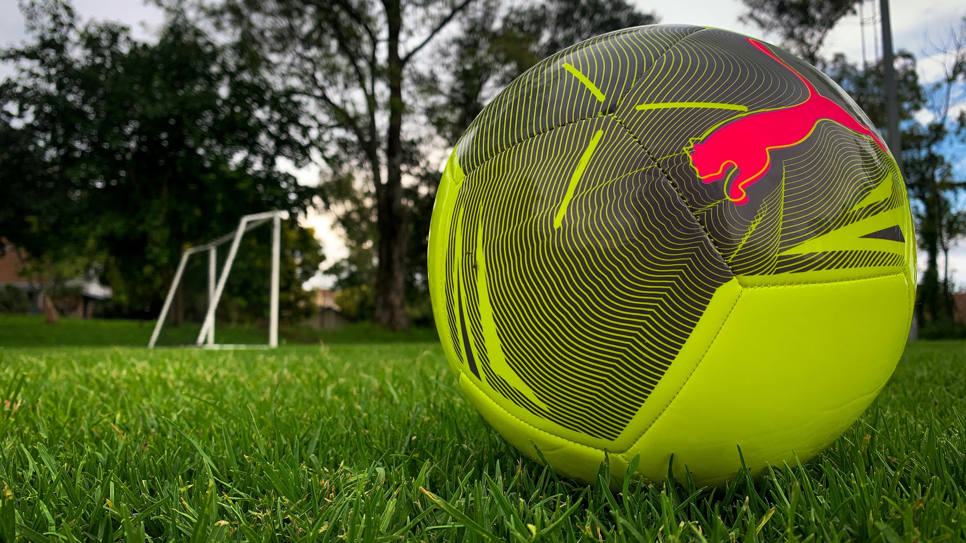 Un balón de fútbol amarillo neón sobre césped verde.