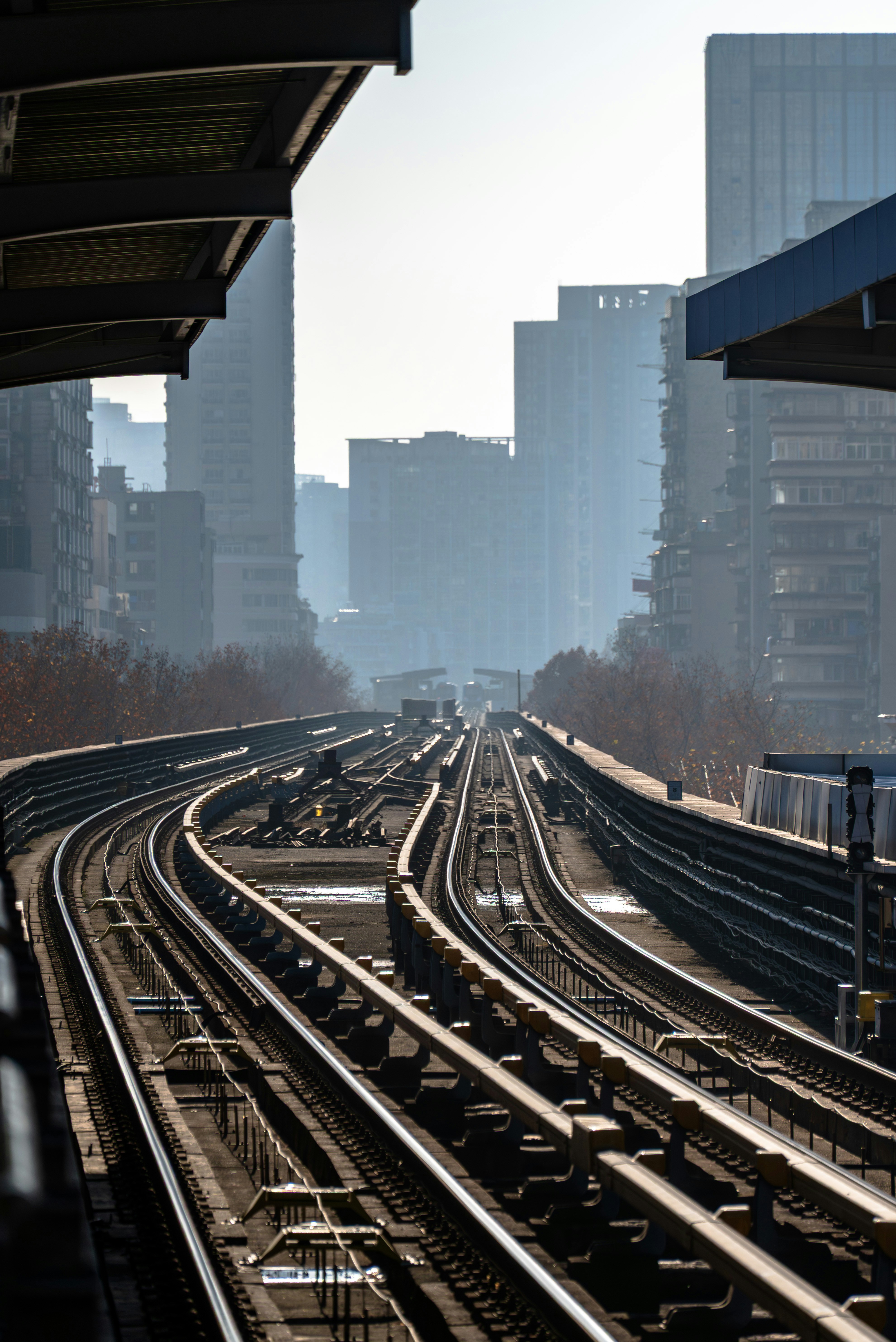 Photo by excellentcx