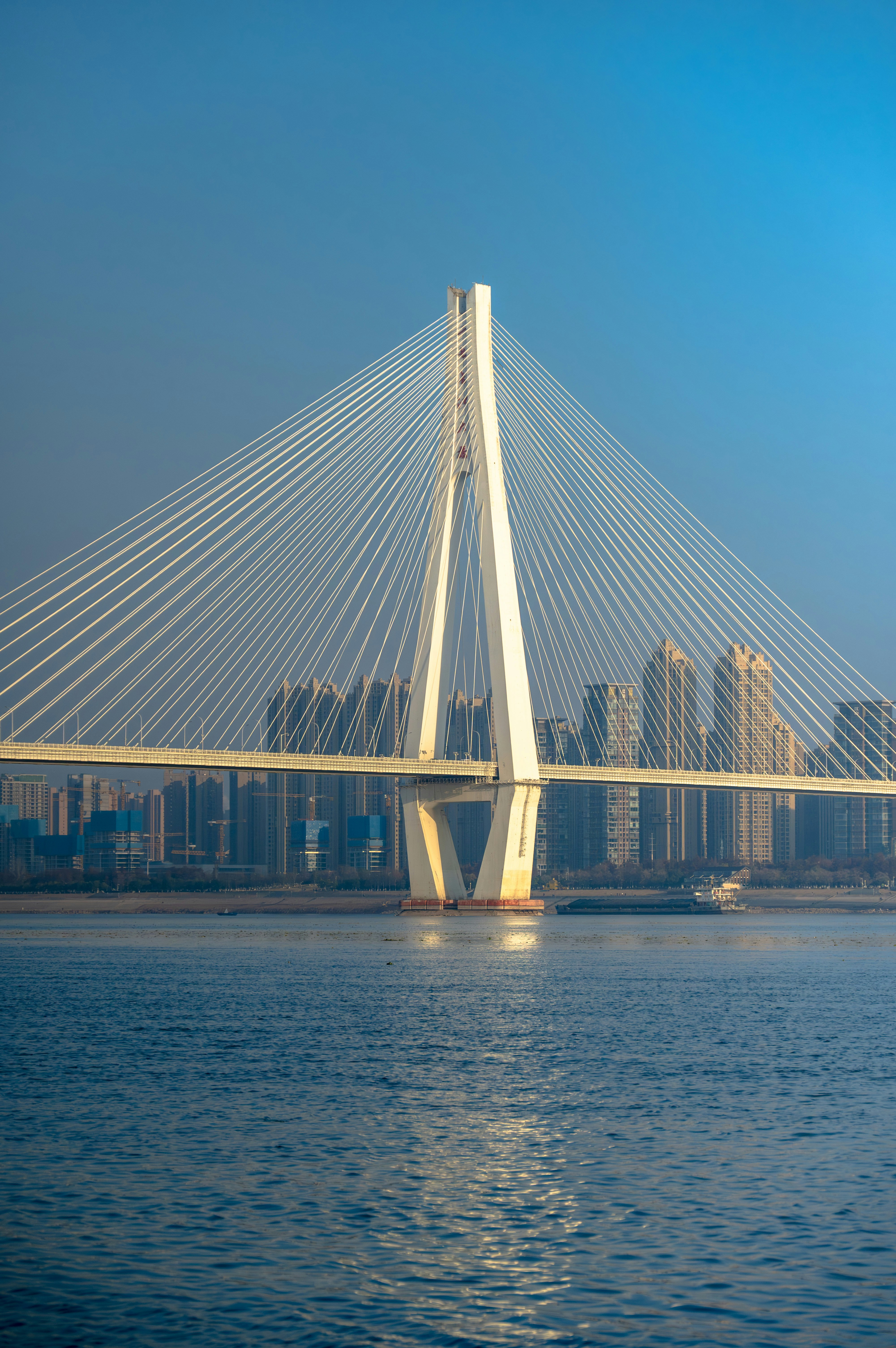 Photo by excellentcx