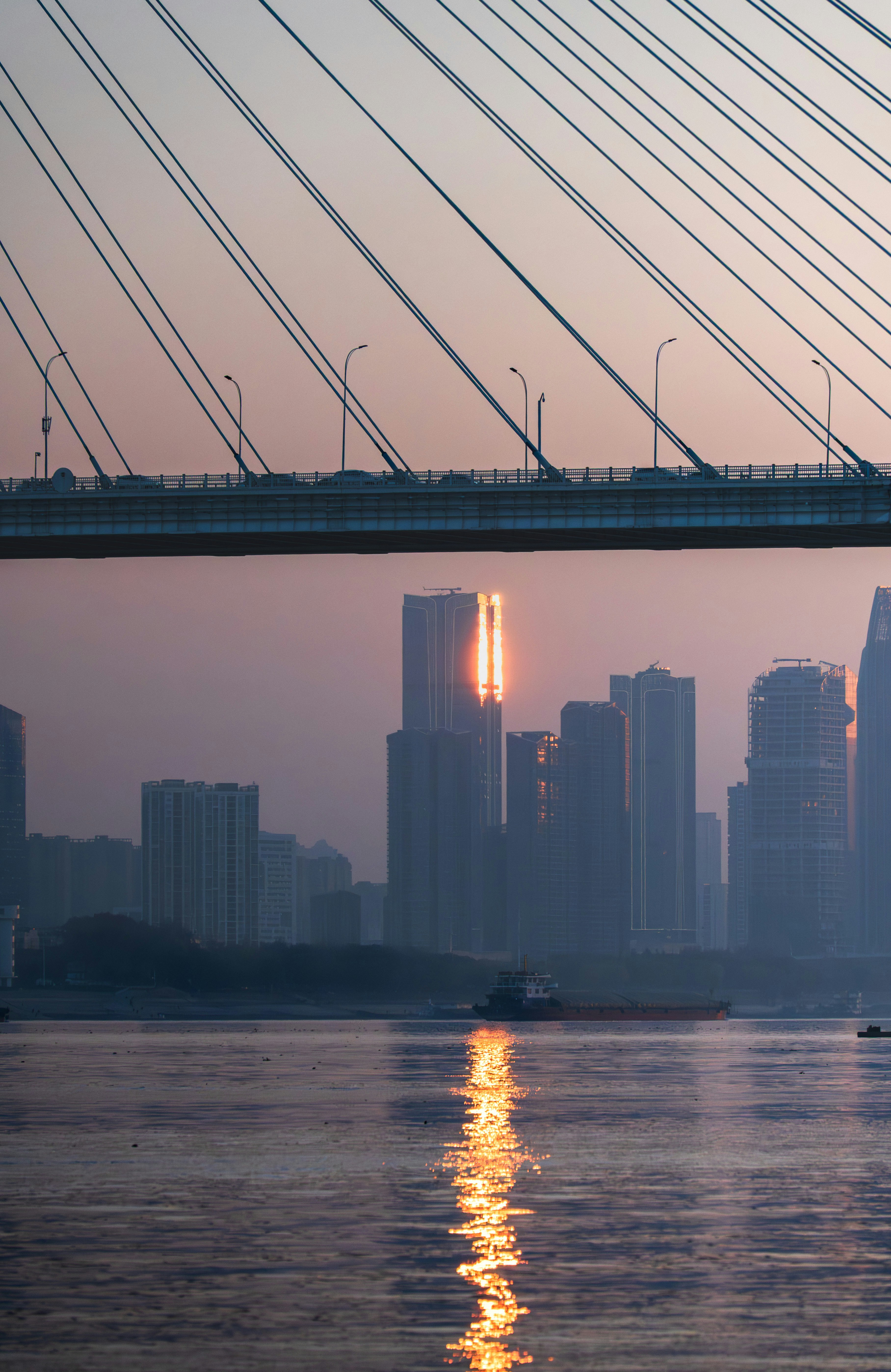 Photo by excellentcx