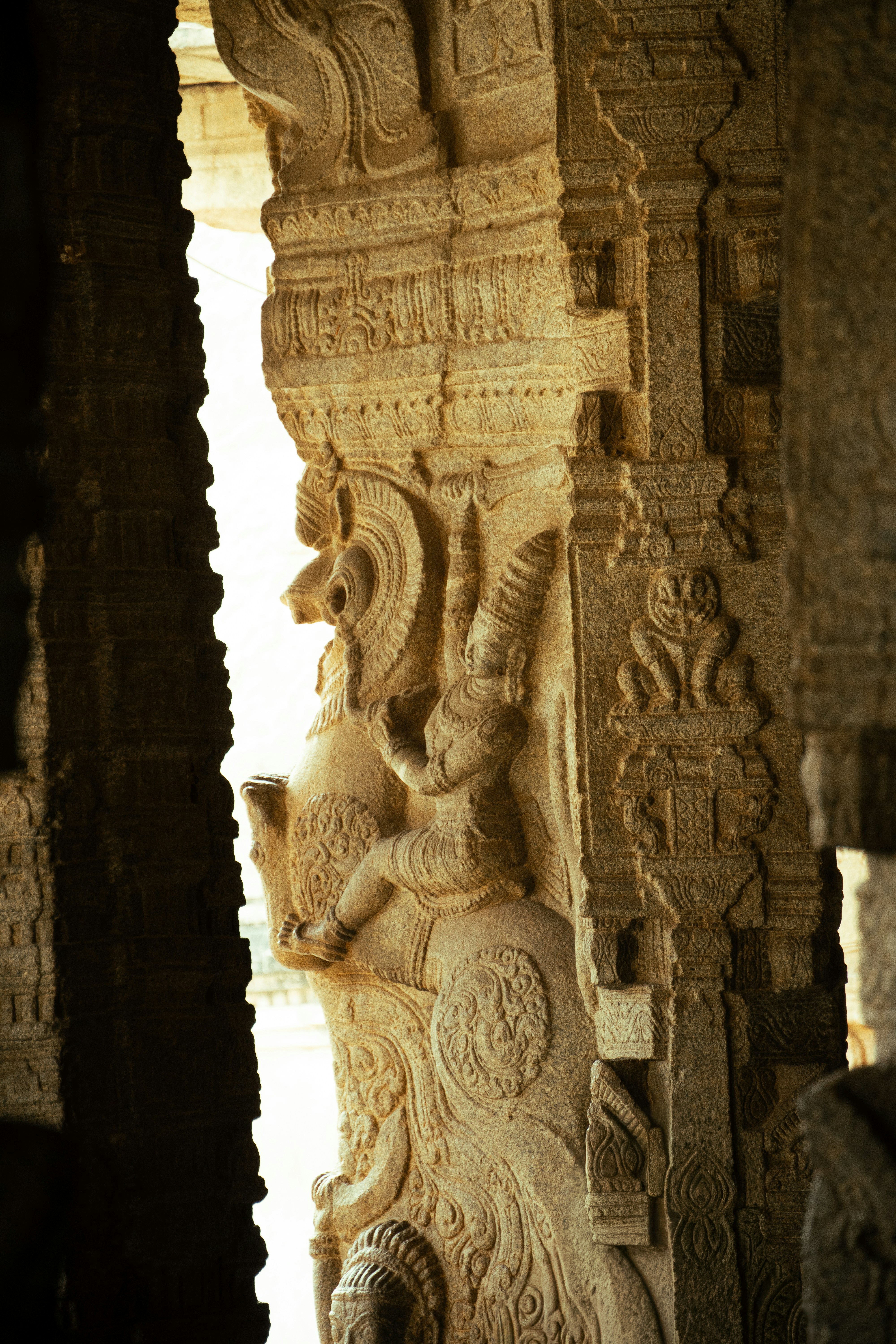 Photo by suhashanjar