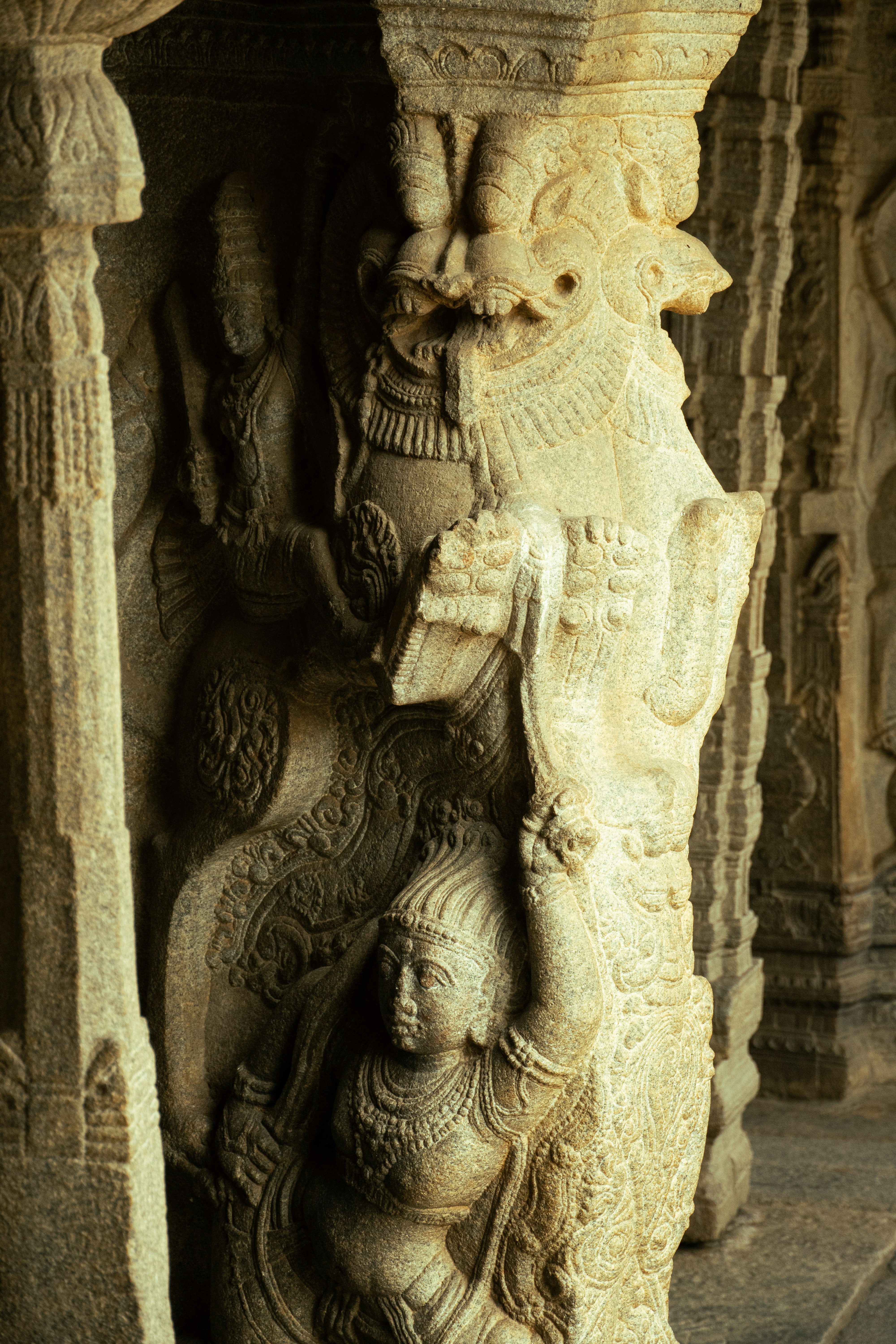 Photo by suhashanjar