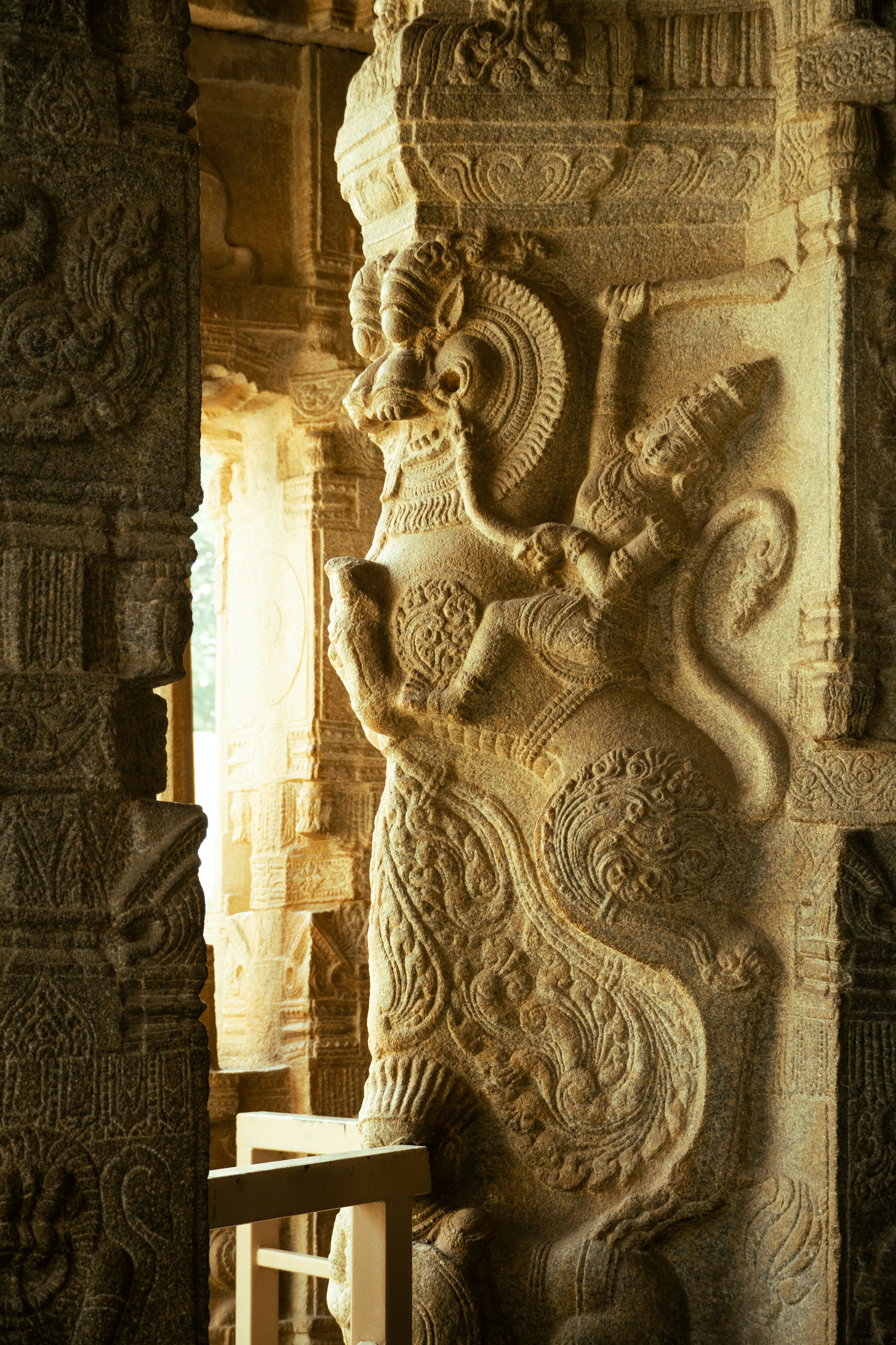 Photo by suhashanjar