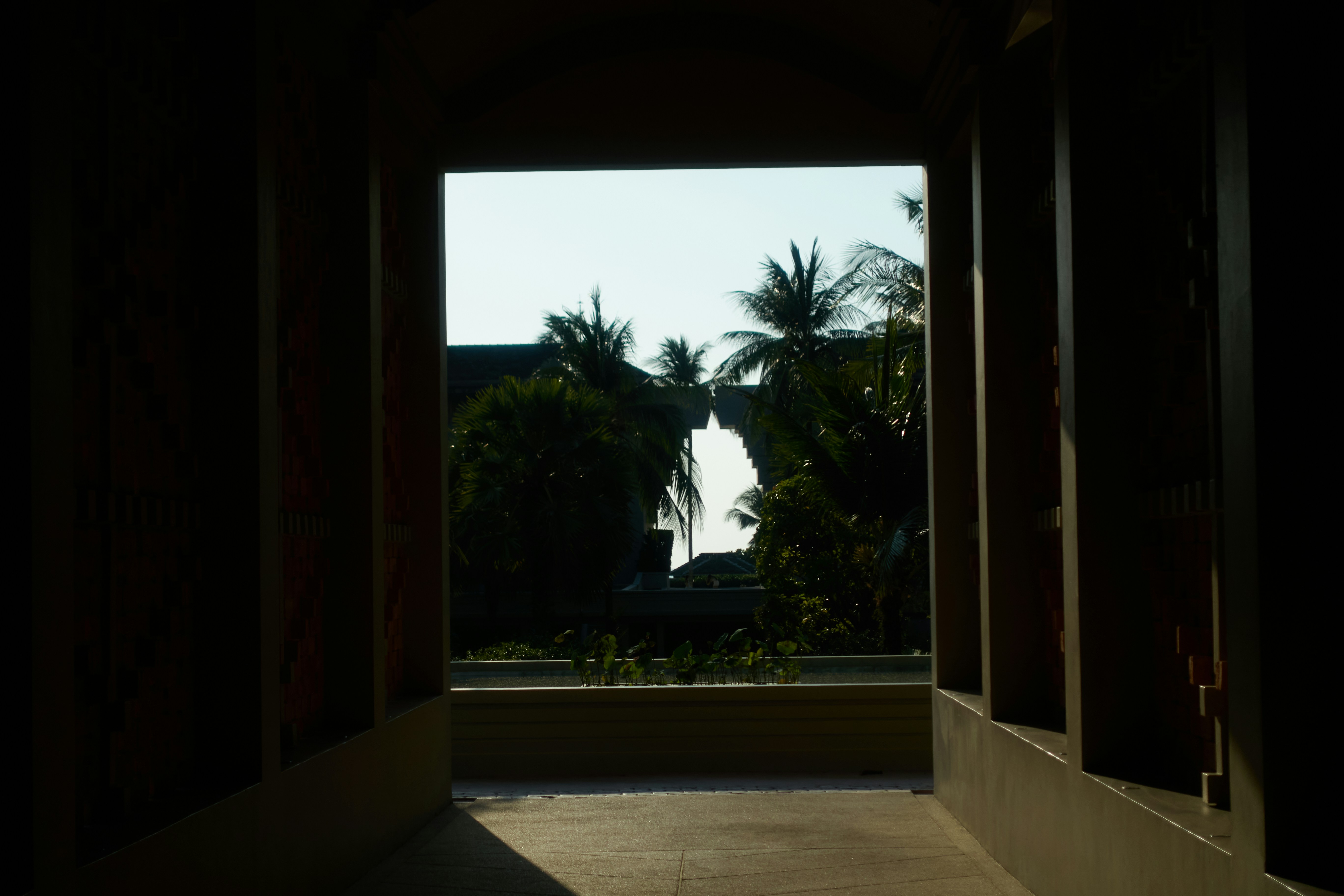 View through a dark hallway to palm trees and sky