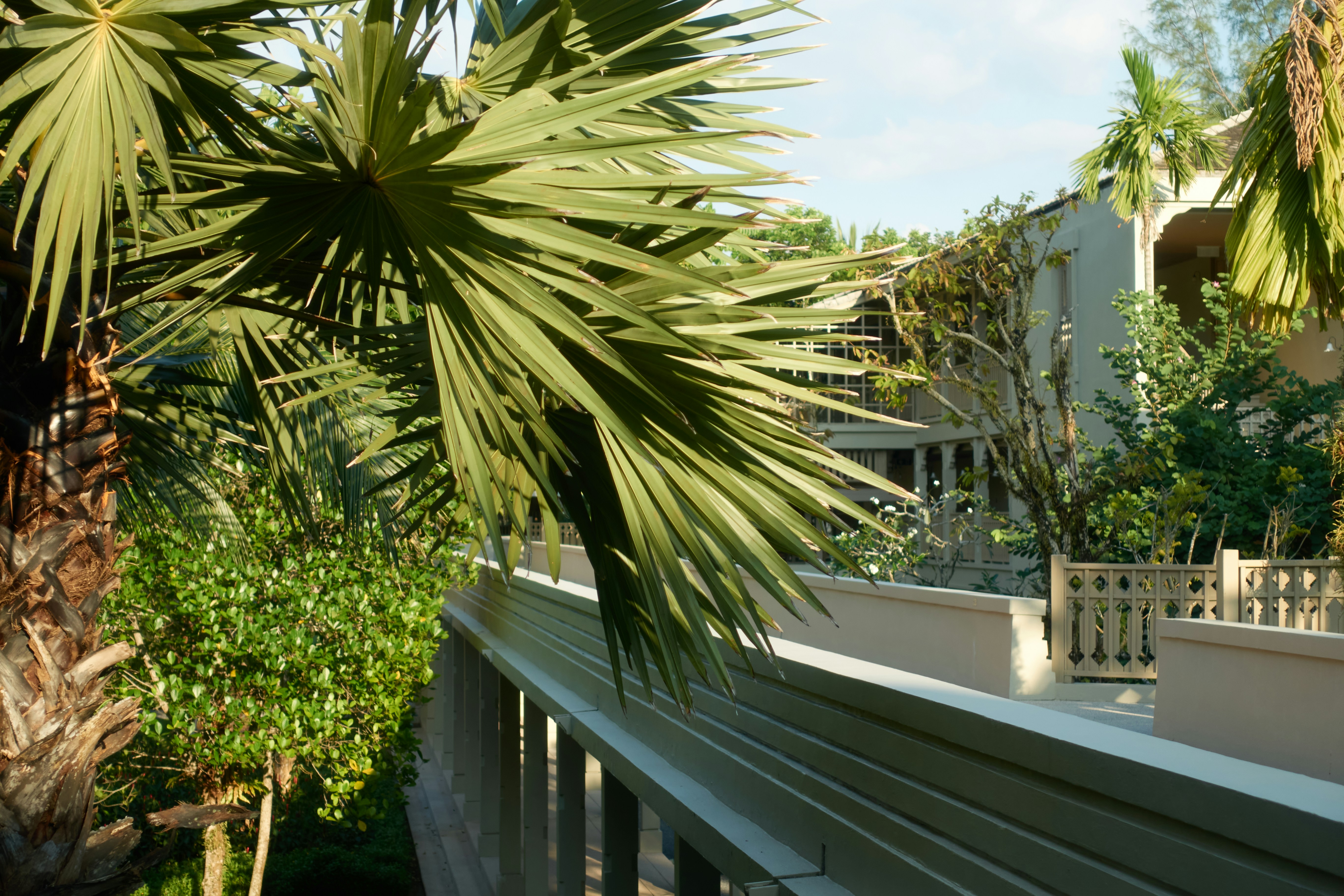 tropical balcony relaxation, wallpaper, Affordable Tropical Bathtub for Balcony: Relax & Unwind 2