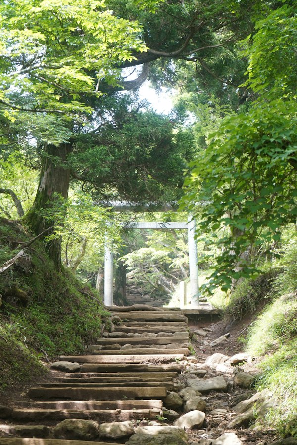 森の遊歩道