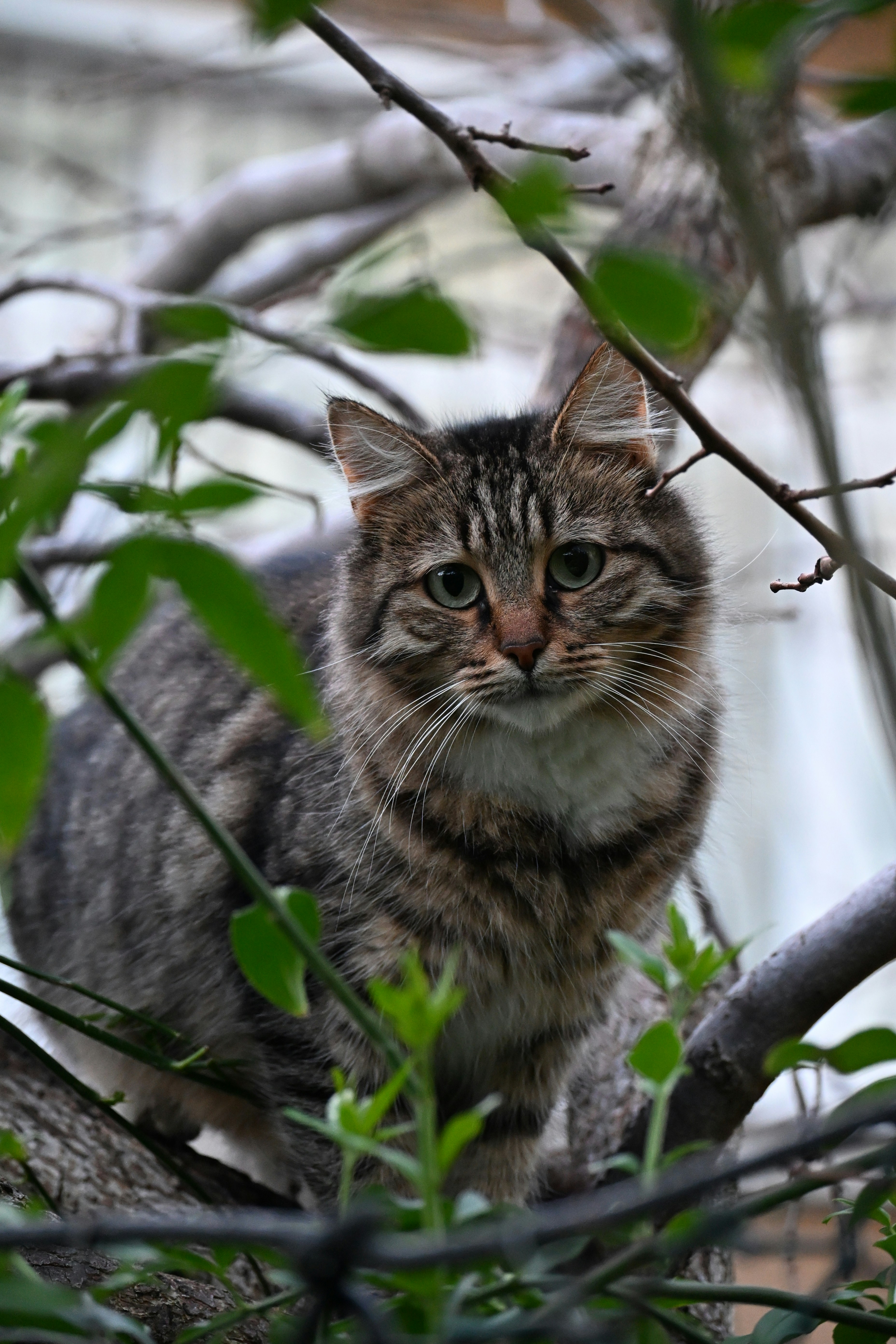 Photo by halilcelikhic