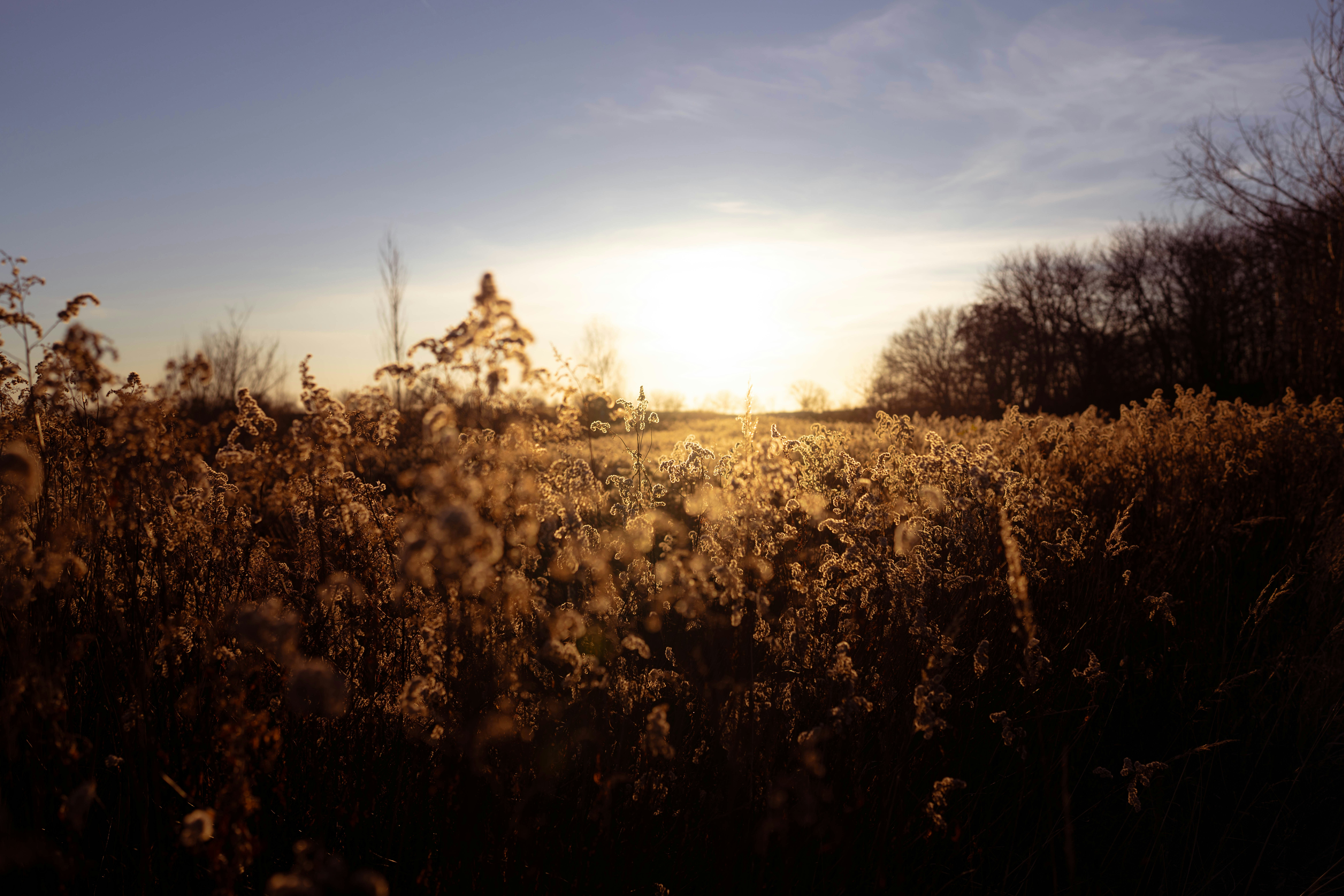 Photo by omikron
