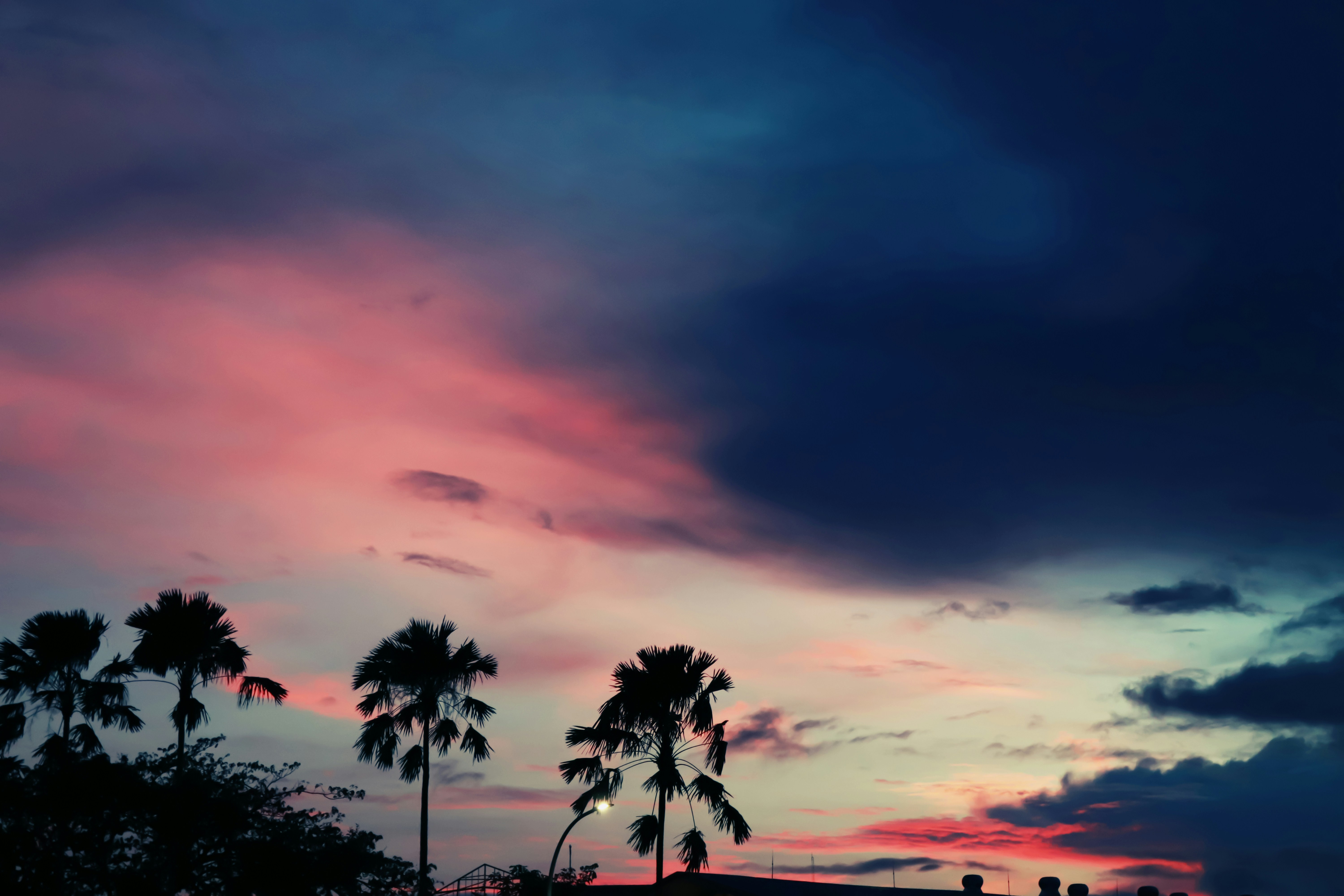 Photo by evan_marvell