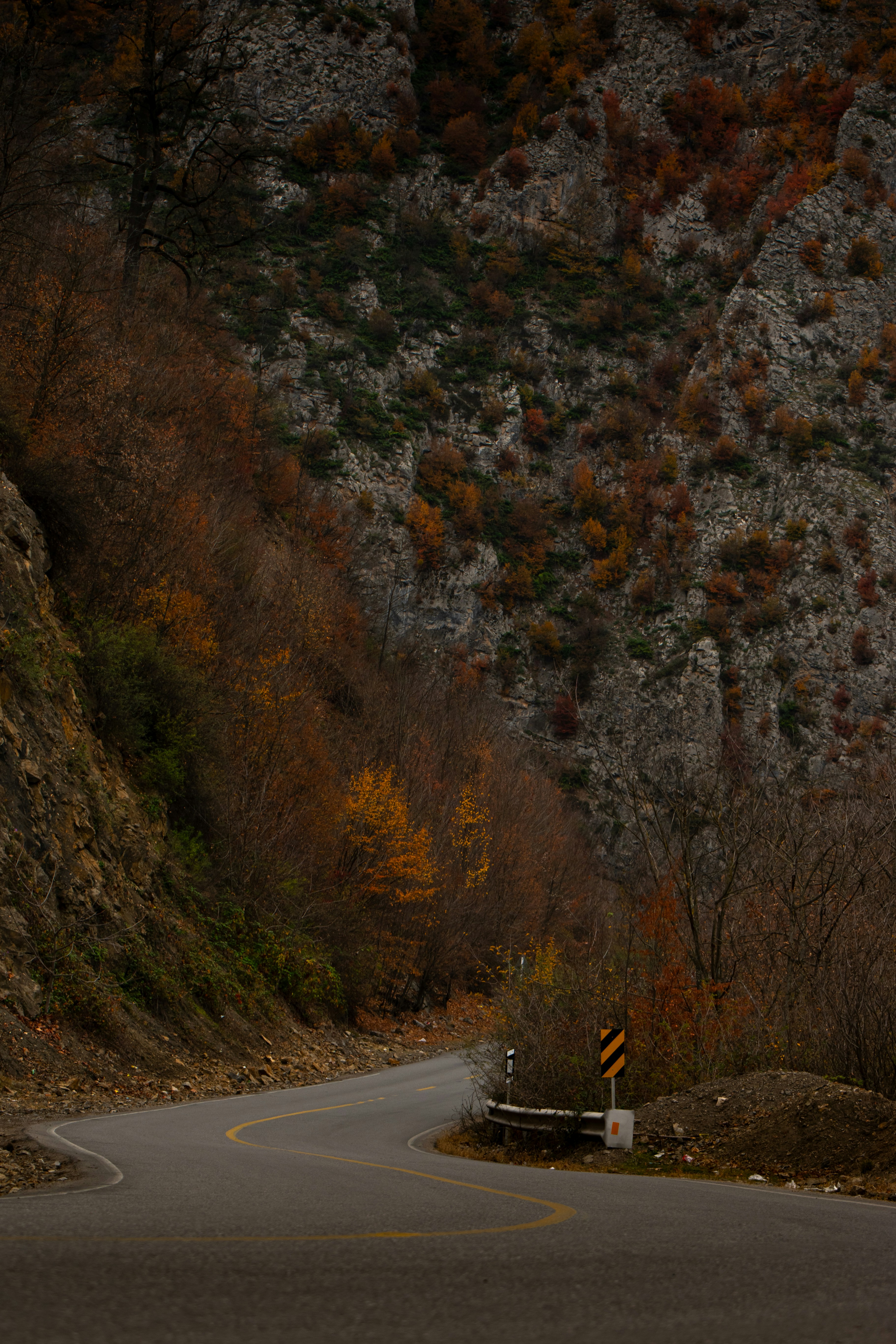 Photo by nimaghazaei