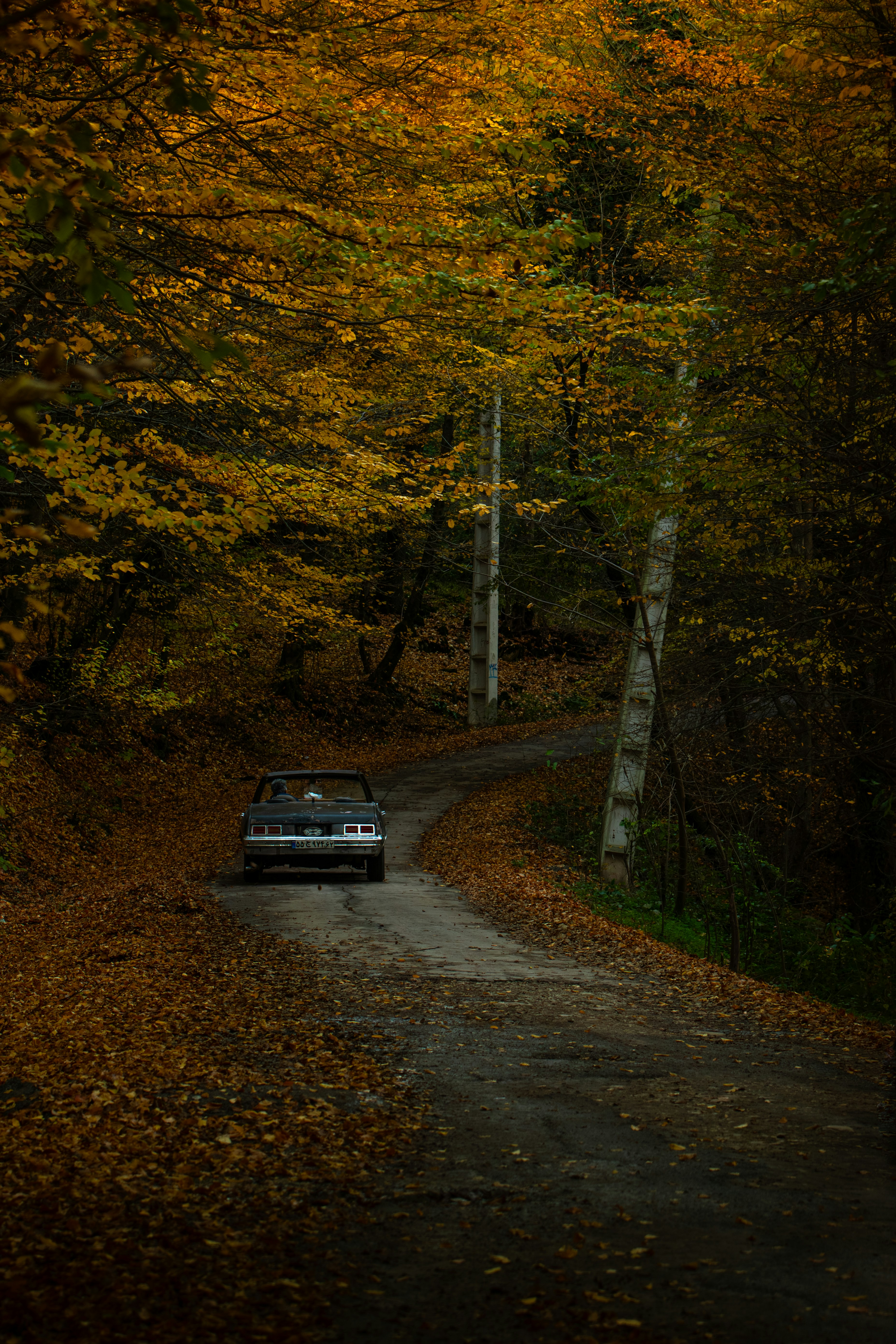 Photo by nimaghazaei