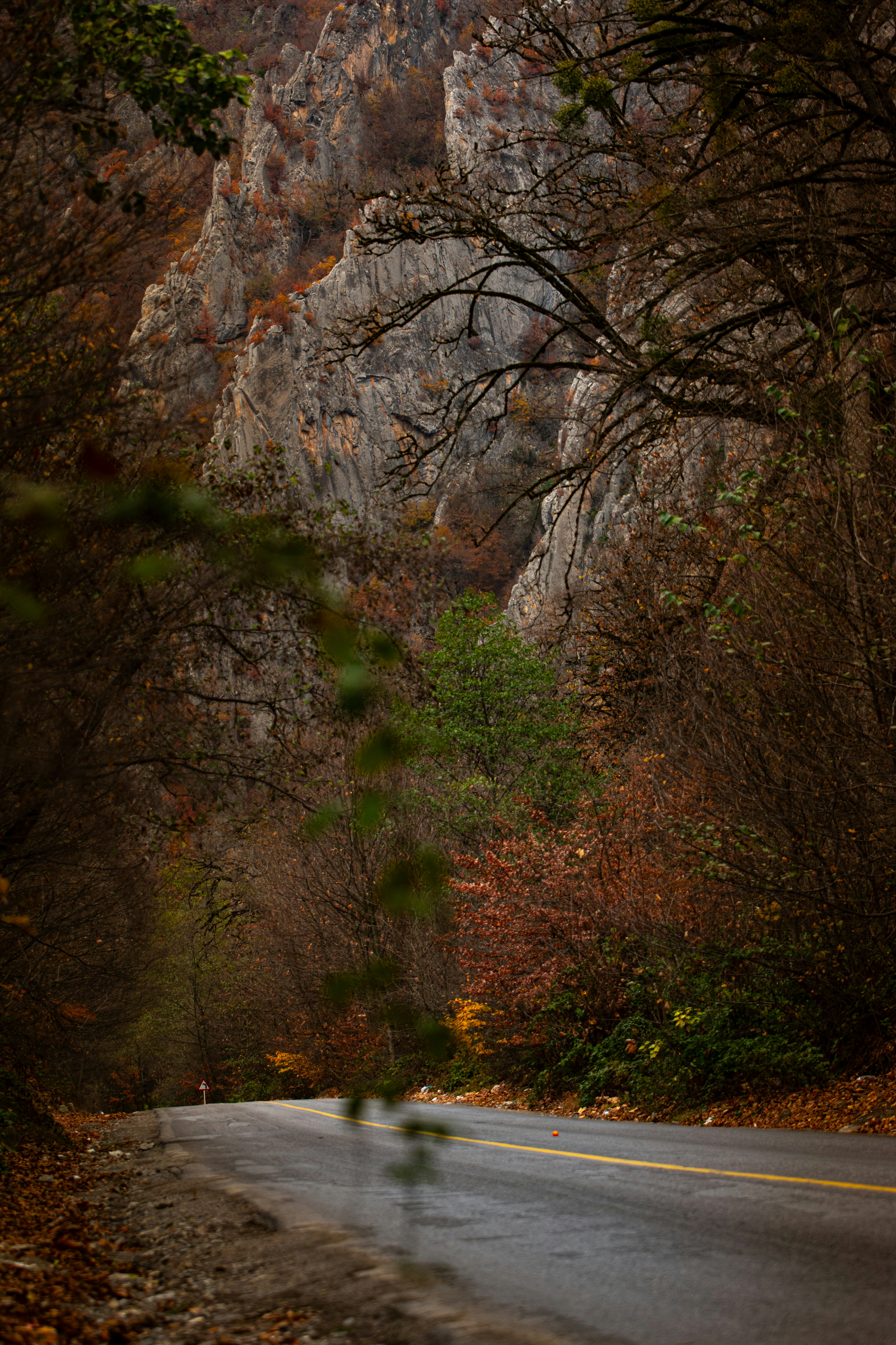 Photo by nimaghazaei