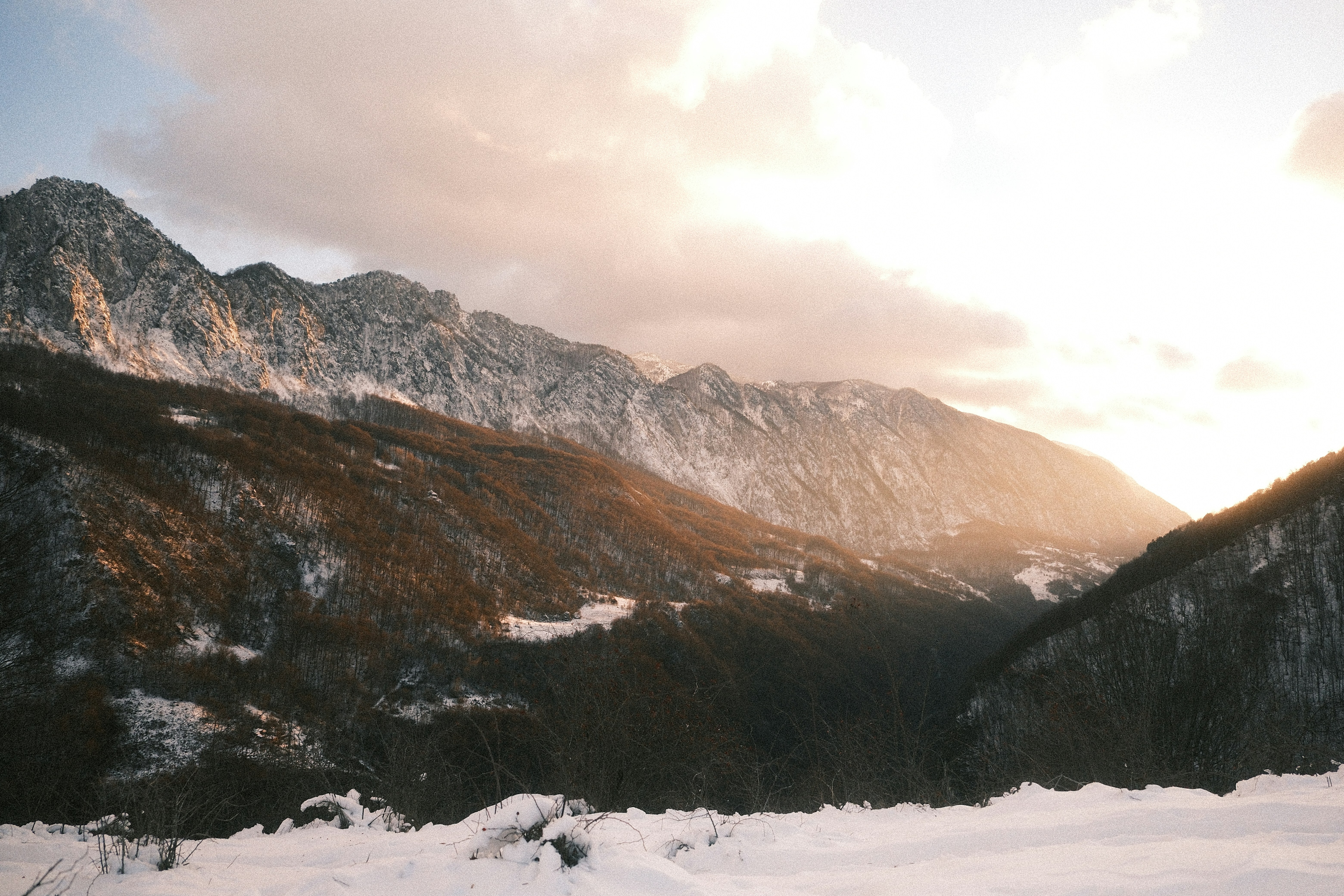 Photo by tufisalexandru