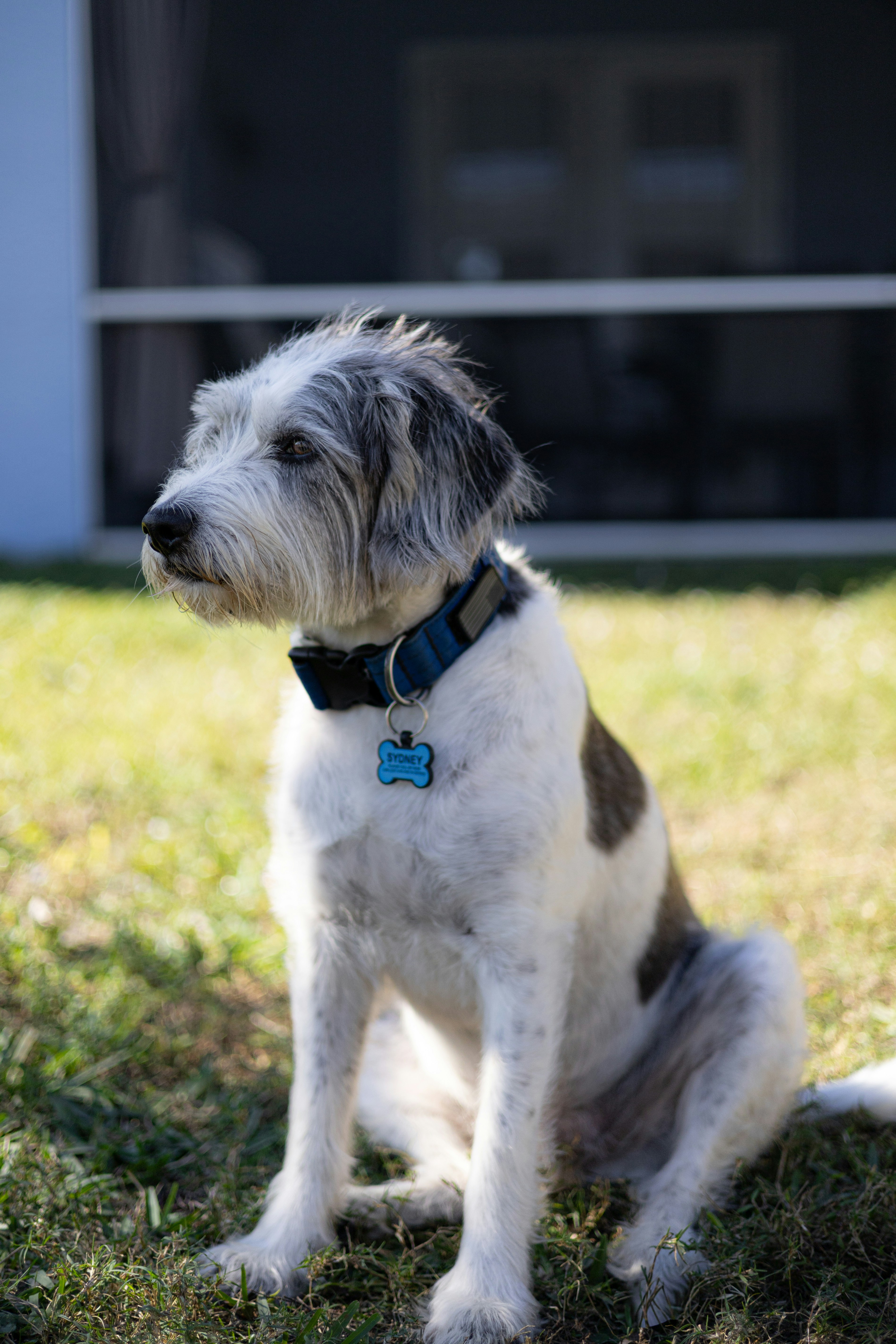 Photo by landonliedtke