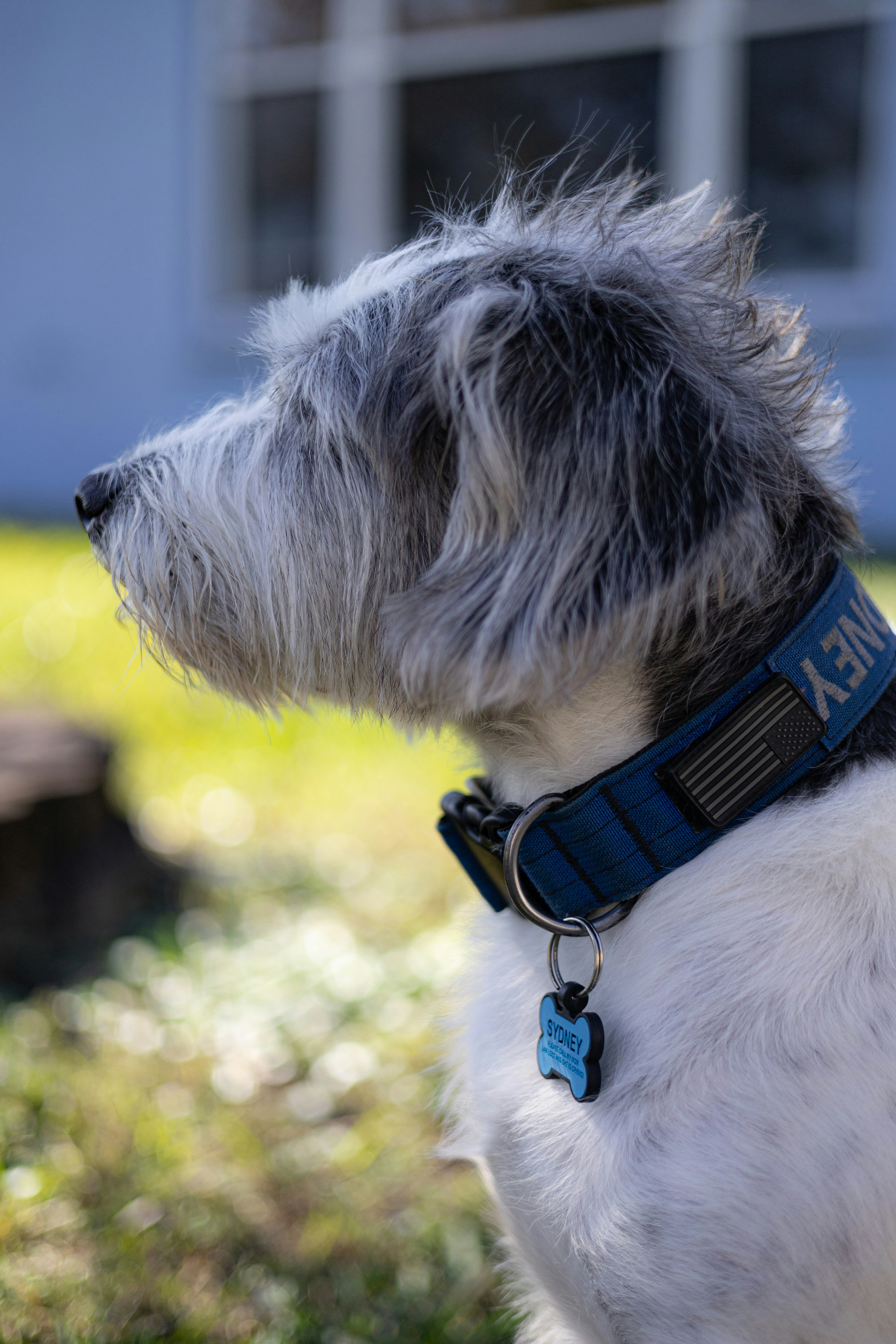 Photo by landonliedtke