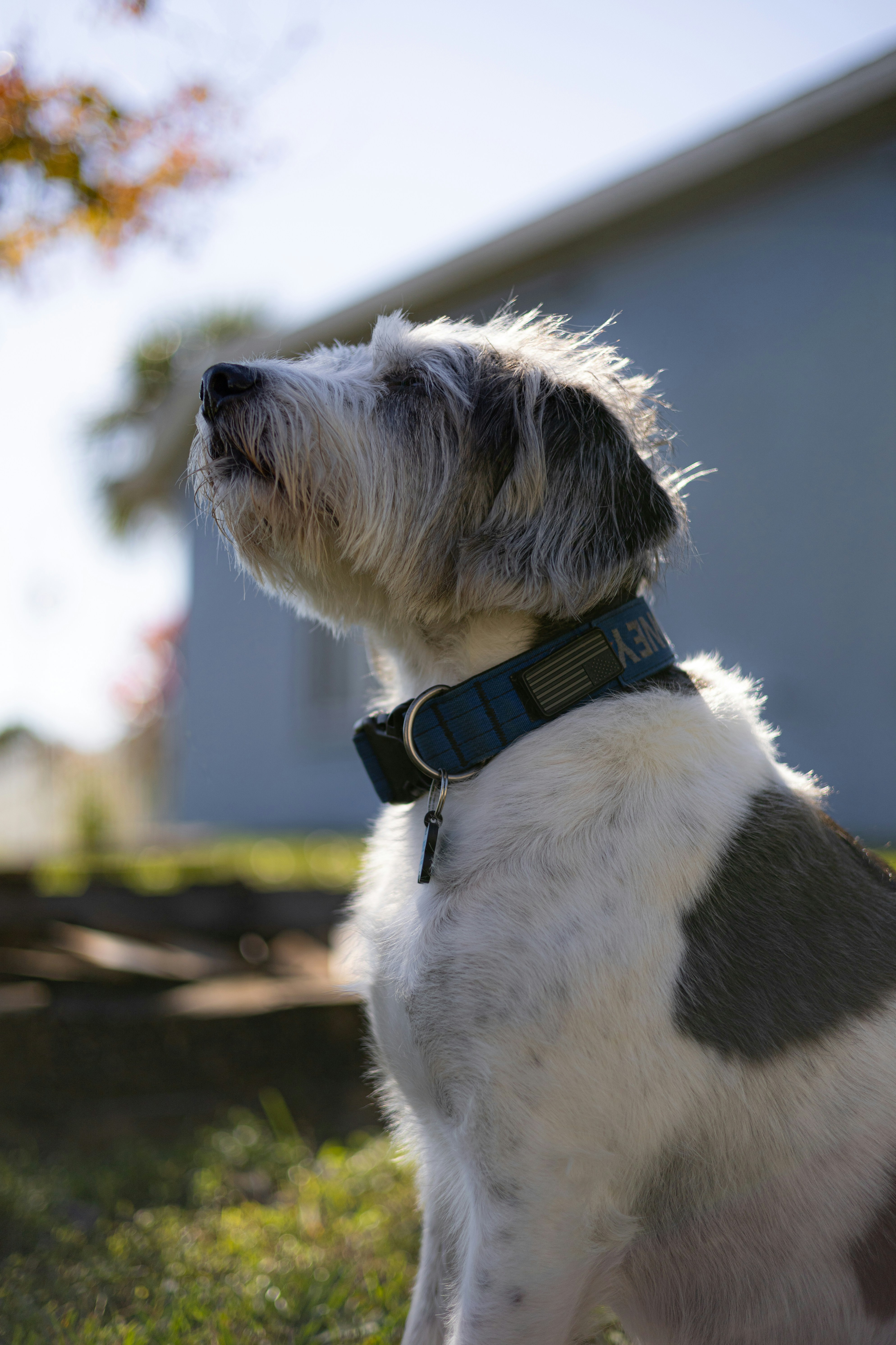 Photo by landonliedtke