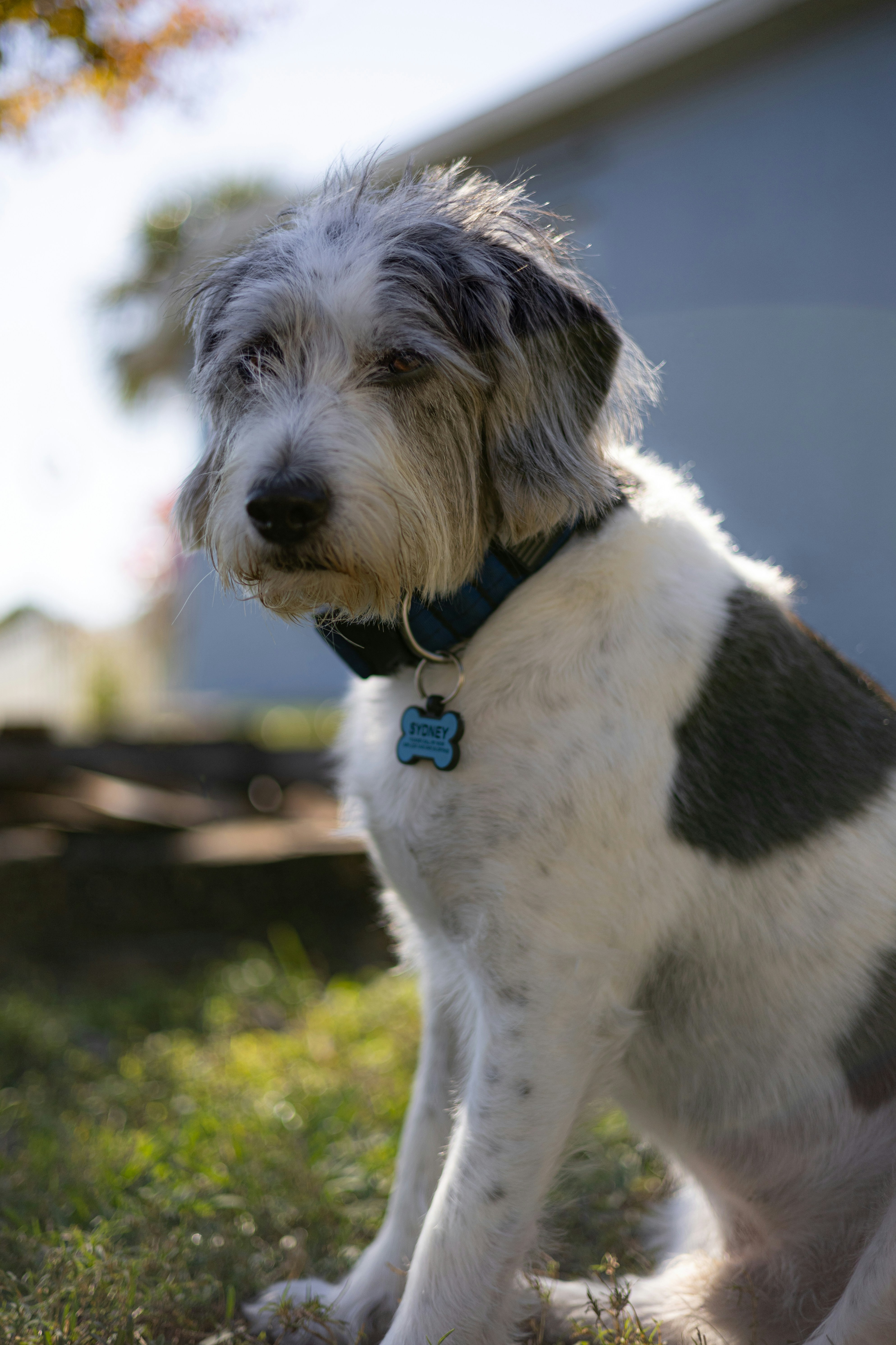 Photo by landonliedtke