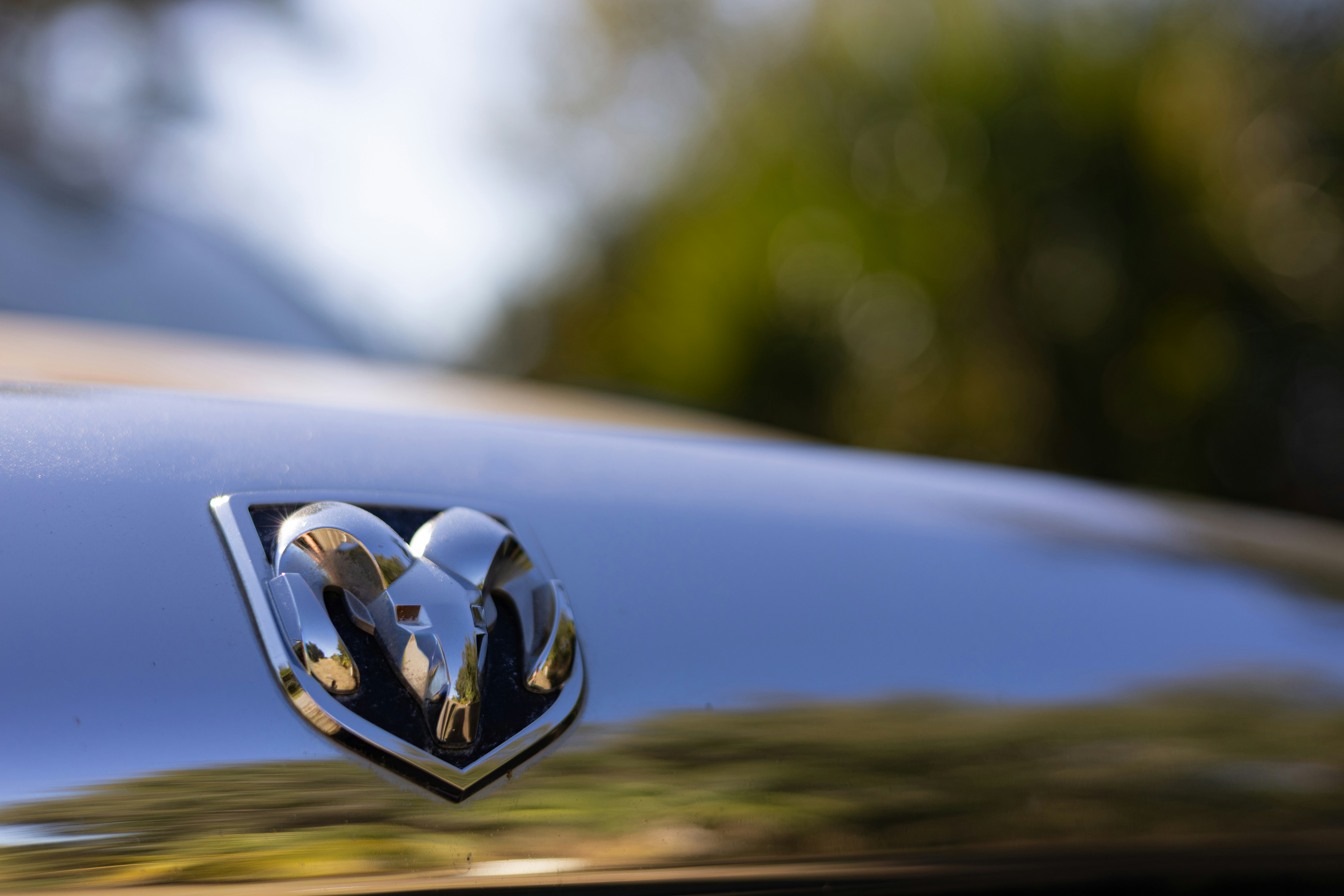 Ram truck emblem on shiny car hood