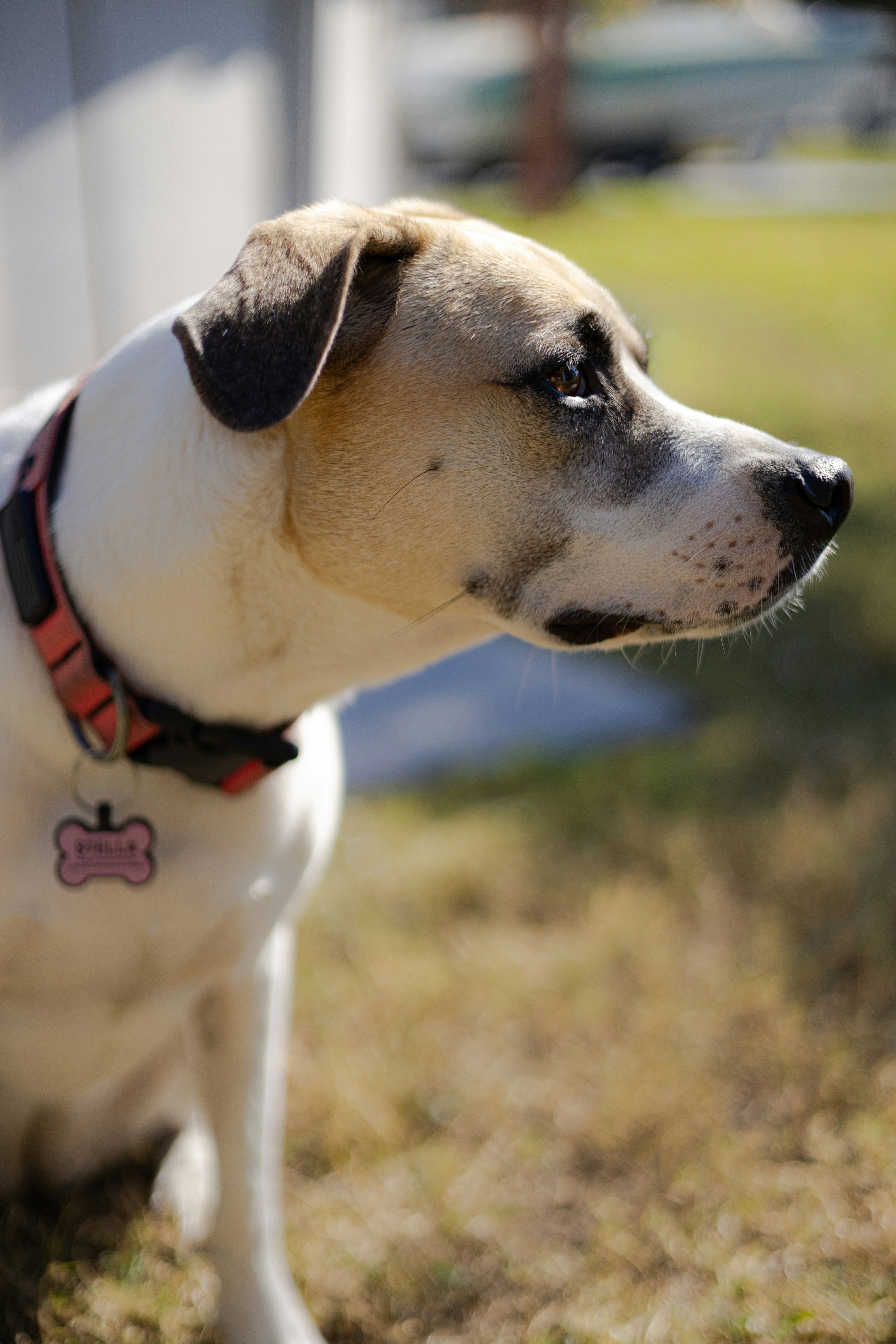 Photo by landonliedtke