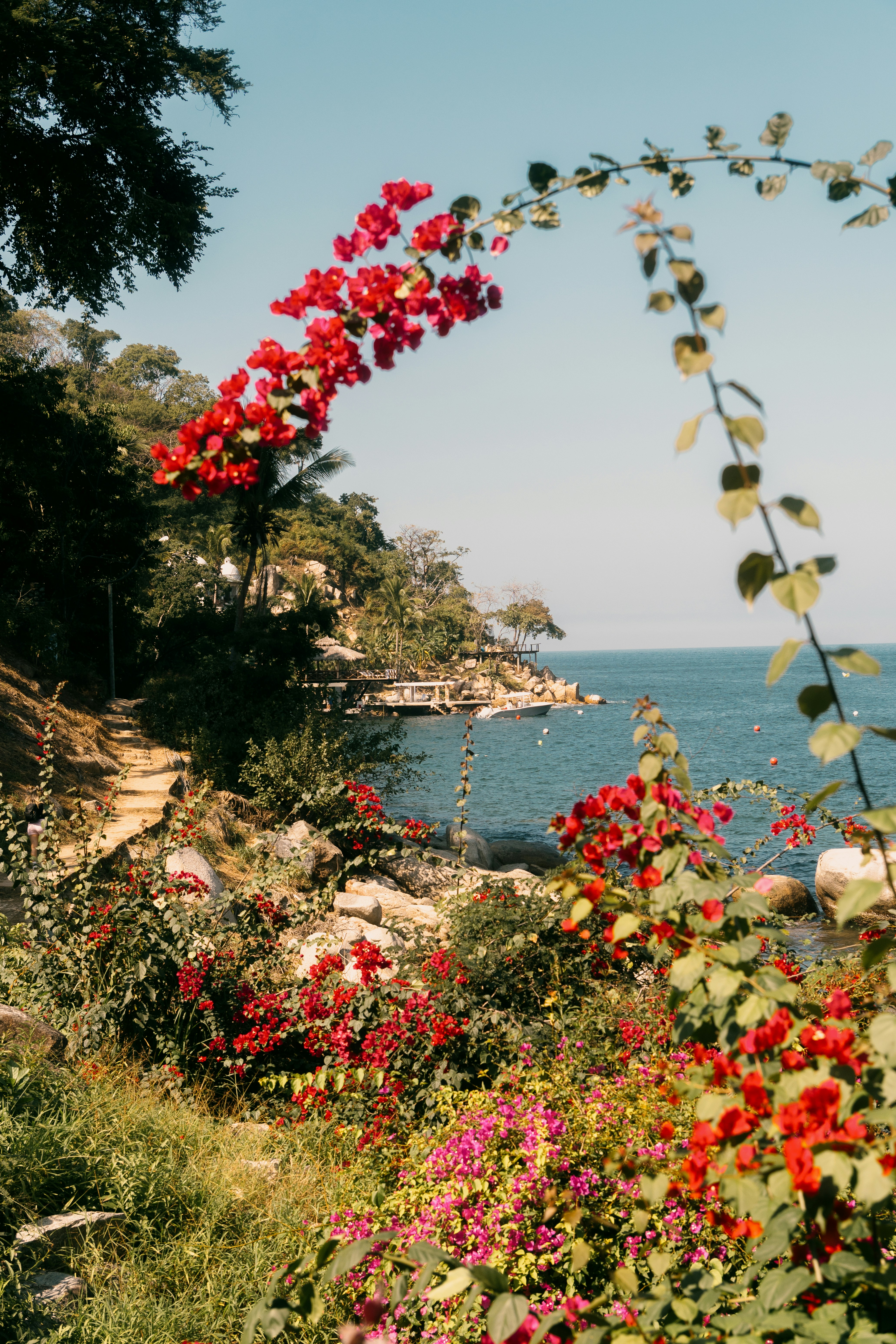 Tropical flowers overlook a calm blue ocean bay.