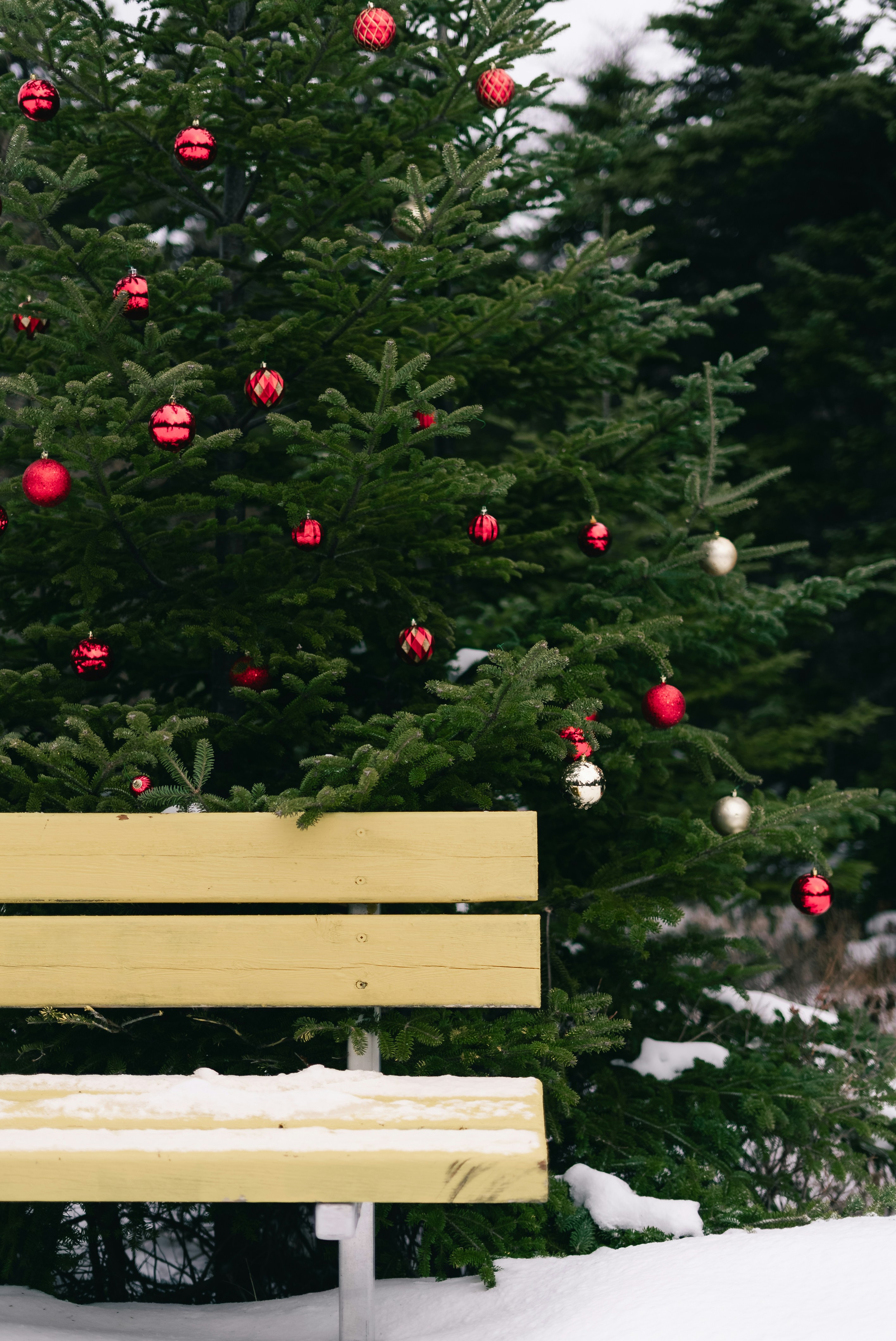 Árbol de Navidad con adornos rojos y banco nevado.