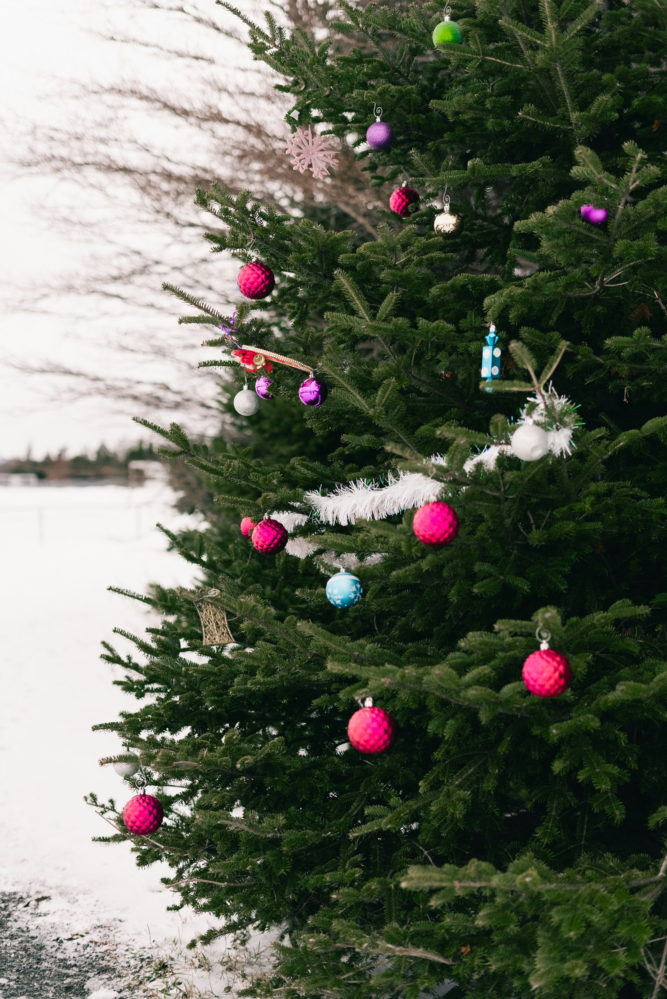 Un árbol perenne decorado con adornos rosas y morados