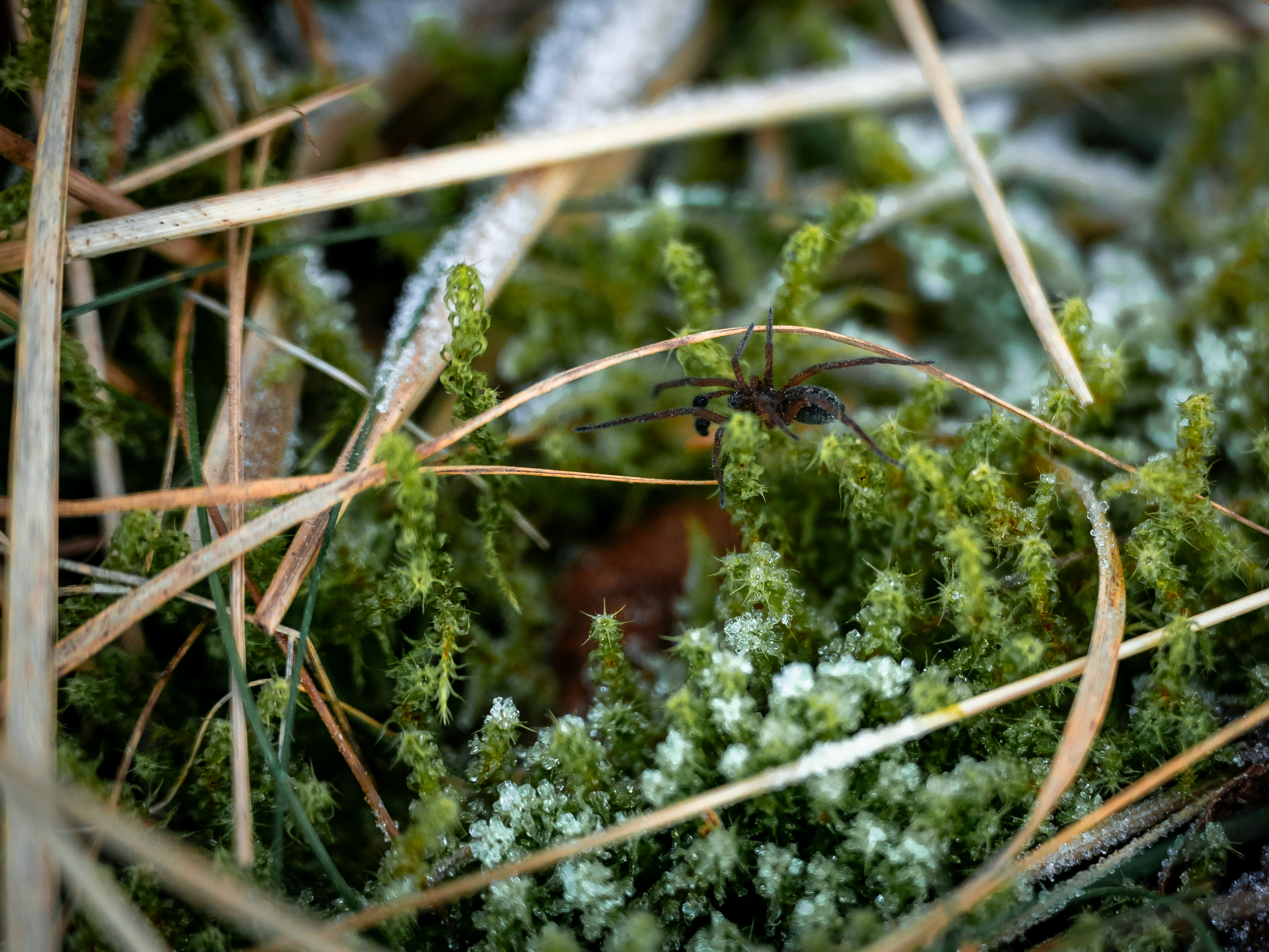 Photo by cgomreephoto