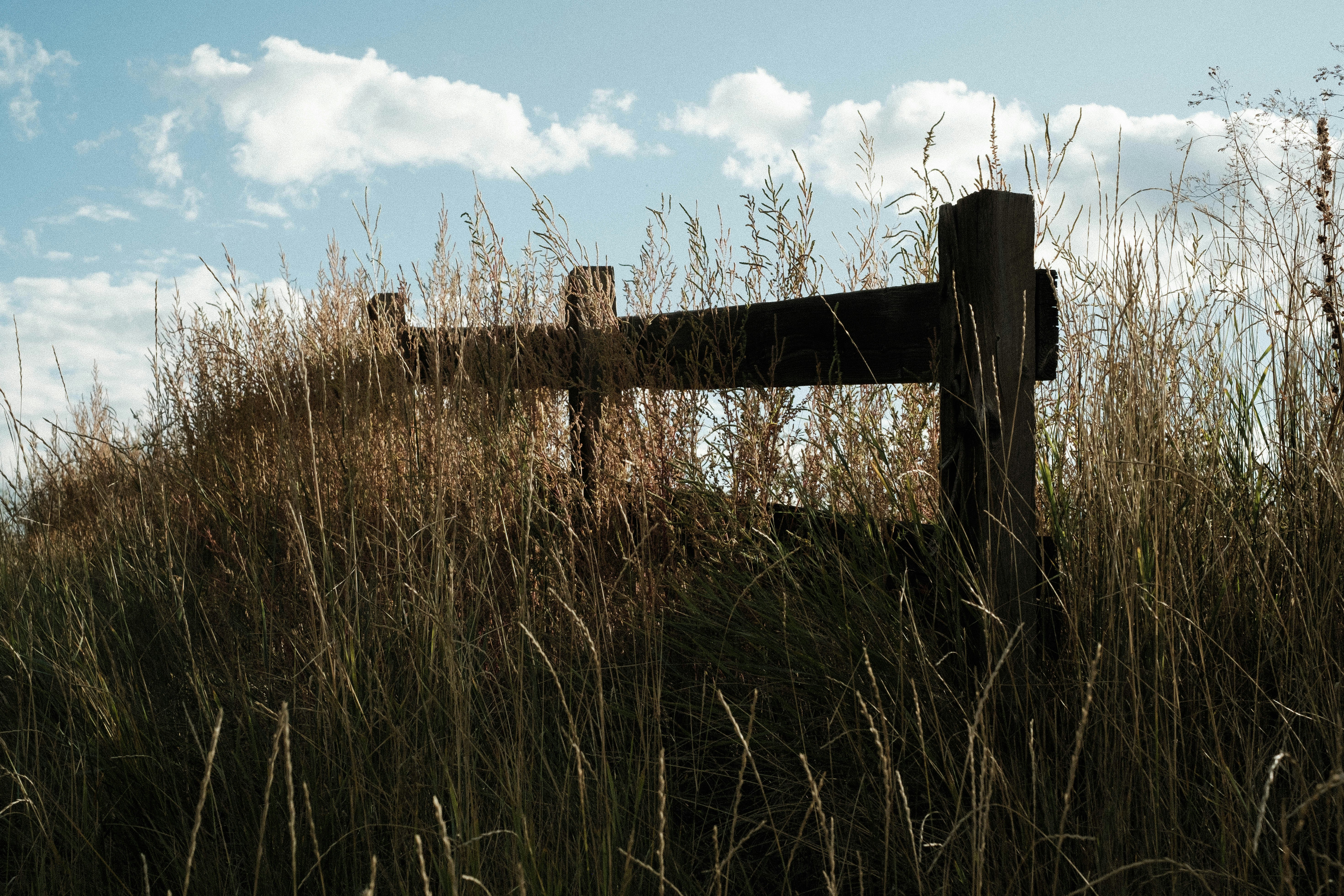 Wooden fence post in tall dry grass under sky