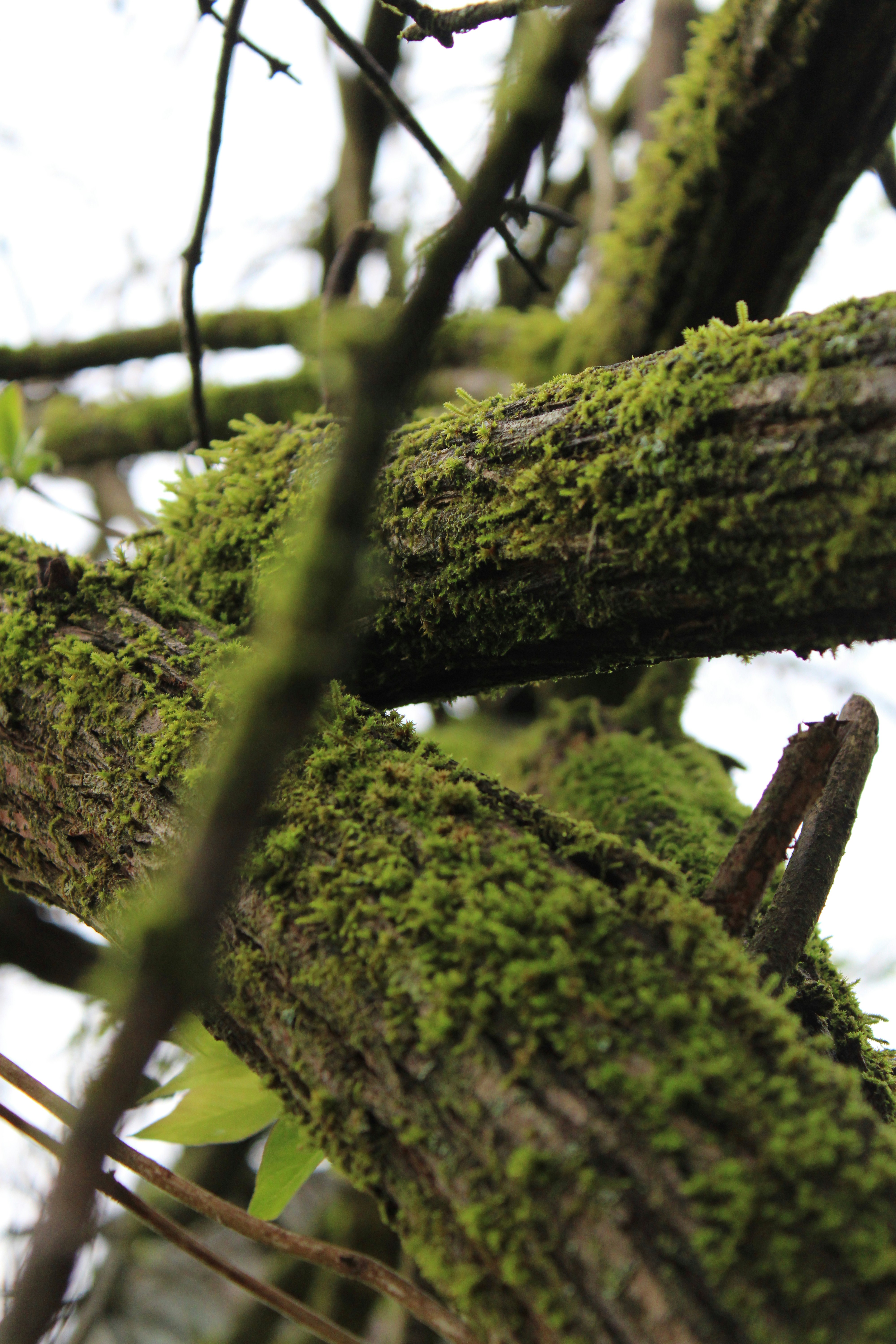 Photo by veronicapotter