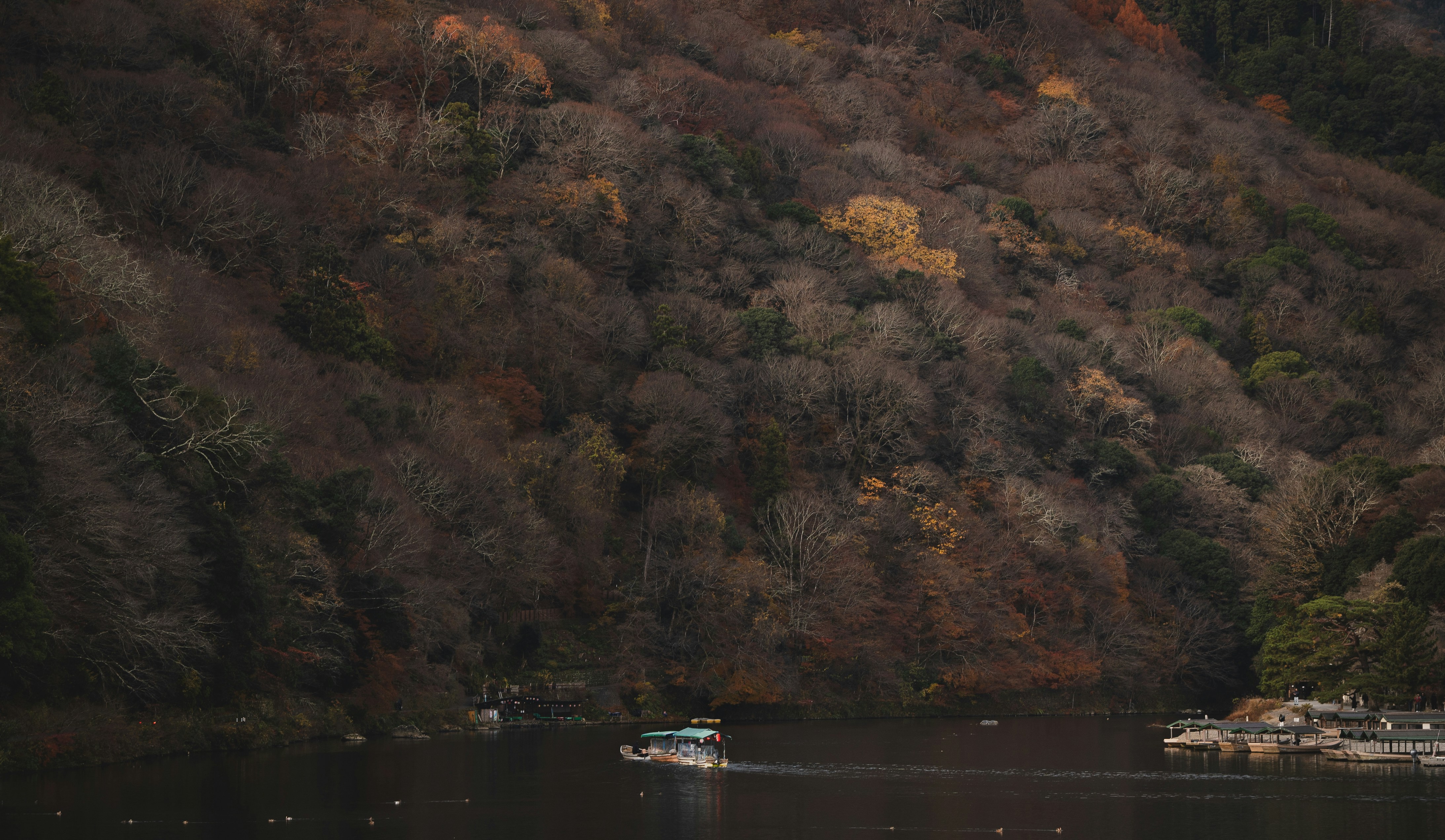 Um barco navega sobre um lago escuro com árvores de outono.